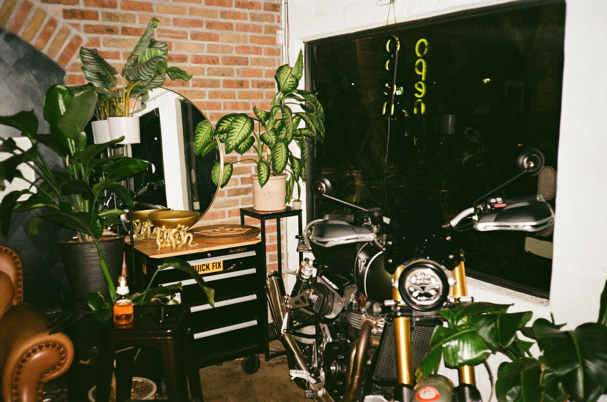 Interior of a room with a black motorcycle, potted plants, a mirror, a toolbox, and decorative items near a brick wall and windows at night.