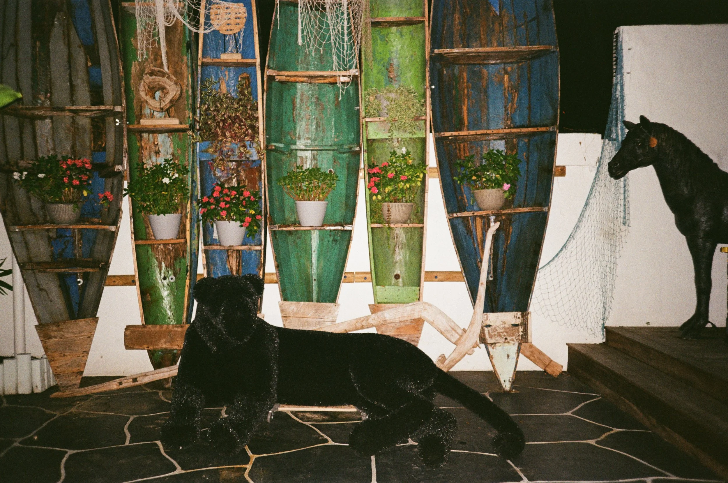 A black dog laying on a tiled floor in front of colorful wooden boat-shaped planters filled with potted plants, with another black dog standing on a wooden platform to the right.