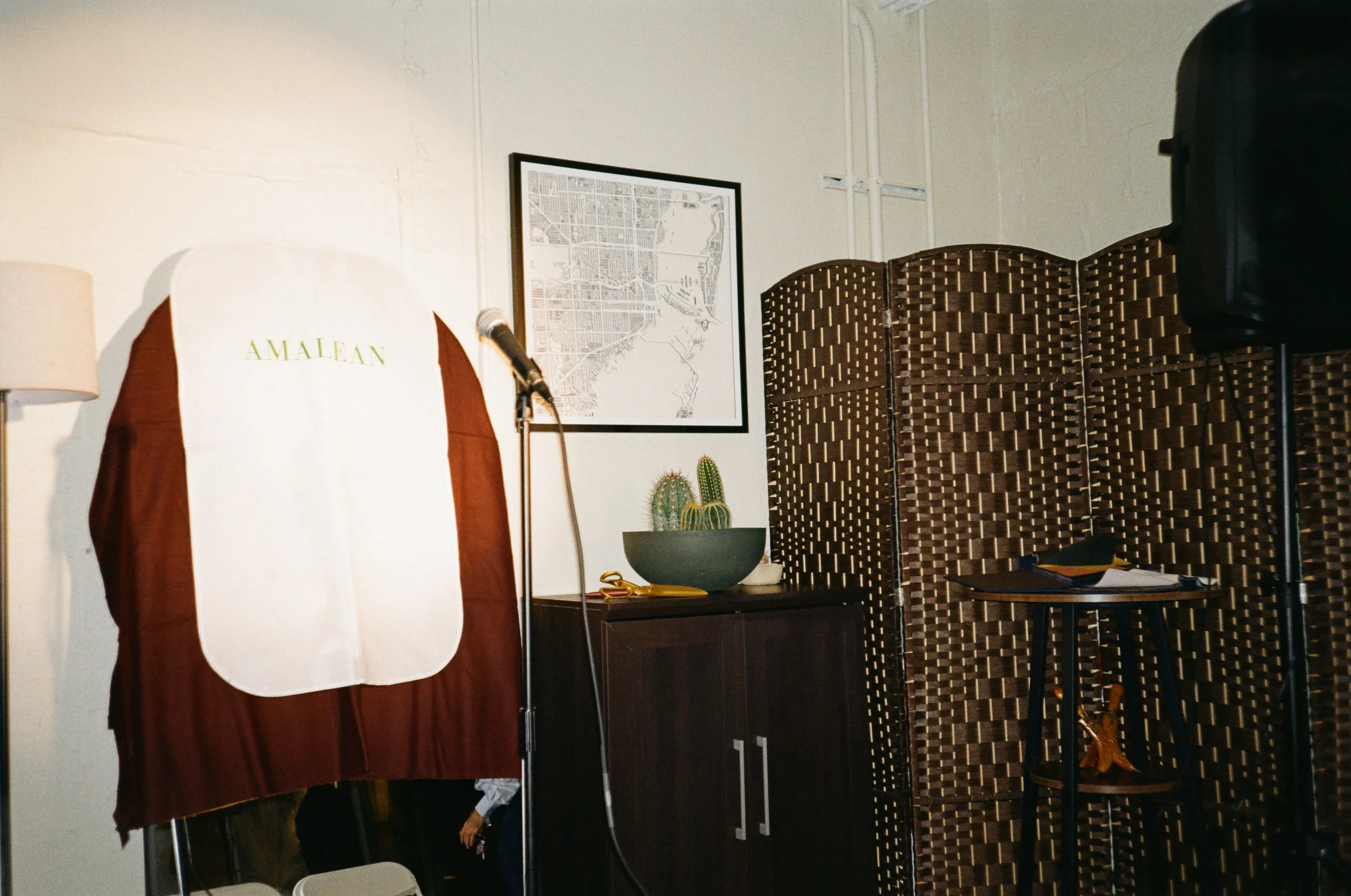 Indoor scene with a photo booth, microphone, framed map on the wall, decorative cactus plants, folding room divider, and a small table with items on it.