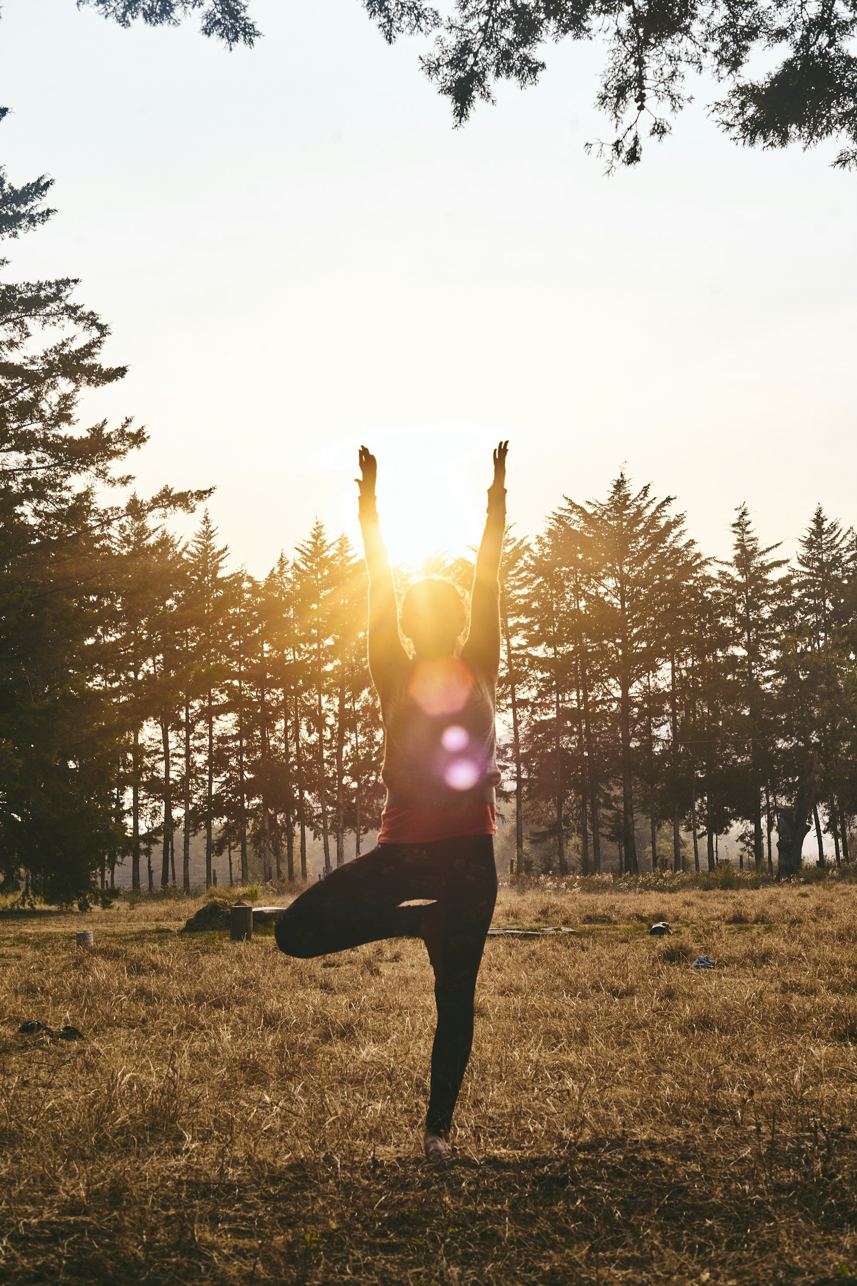 Peace, Love, and Wellness Retreat