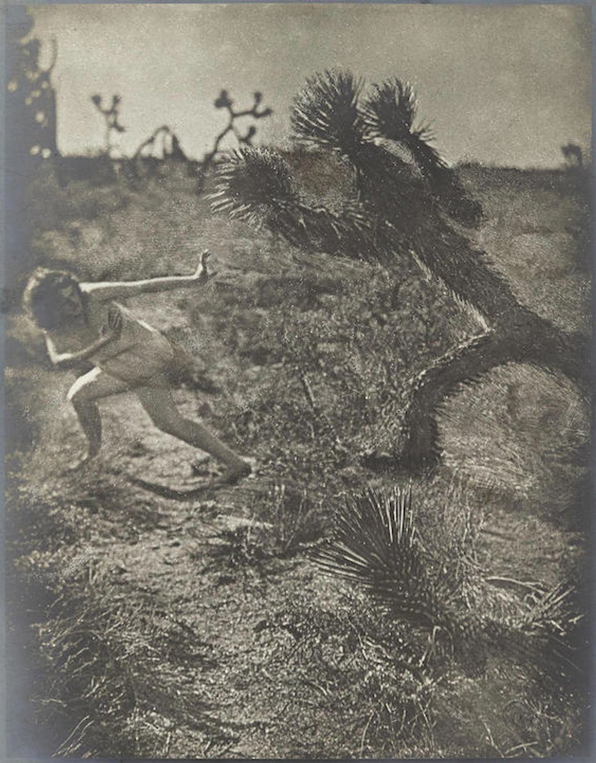  “Bogey Man of the Desert” by Louis Fleckenstein. A grainy black and white photo of a girl dancing in the desert, it looks like she’s fending off a monster.. the Joshua tree beside her looks like it is chasing her. her pose echoes its shape 