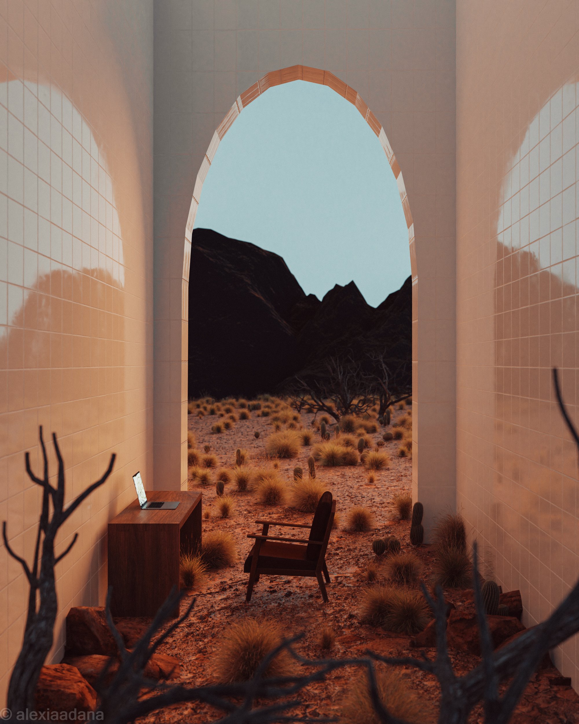 9WFHDESERT-1-2-2.jpg