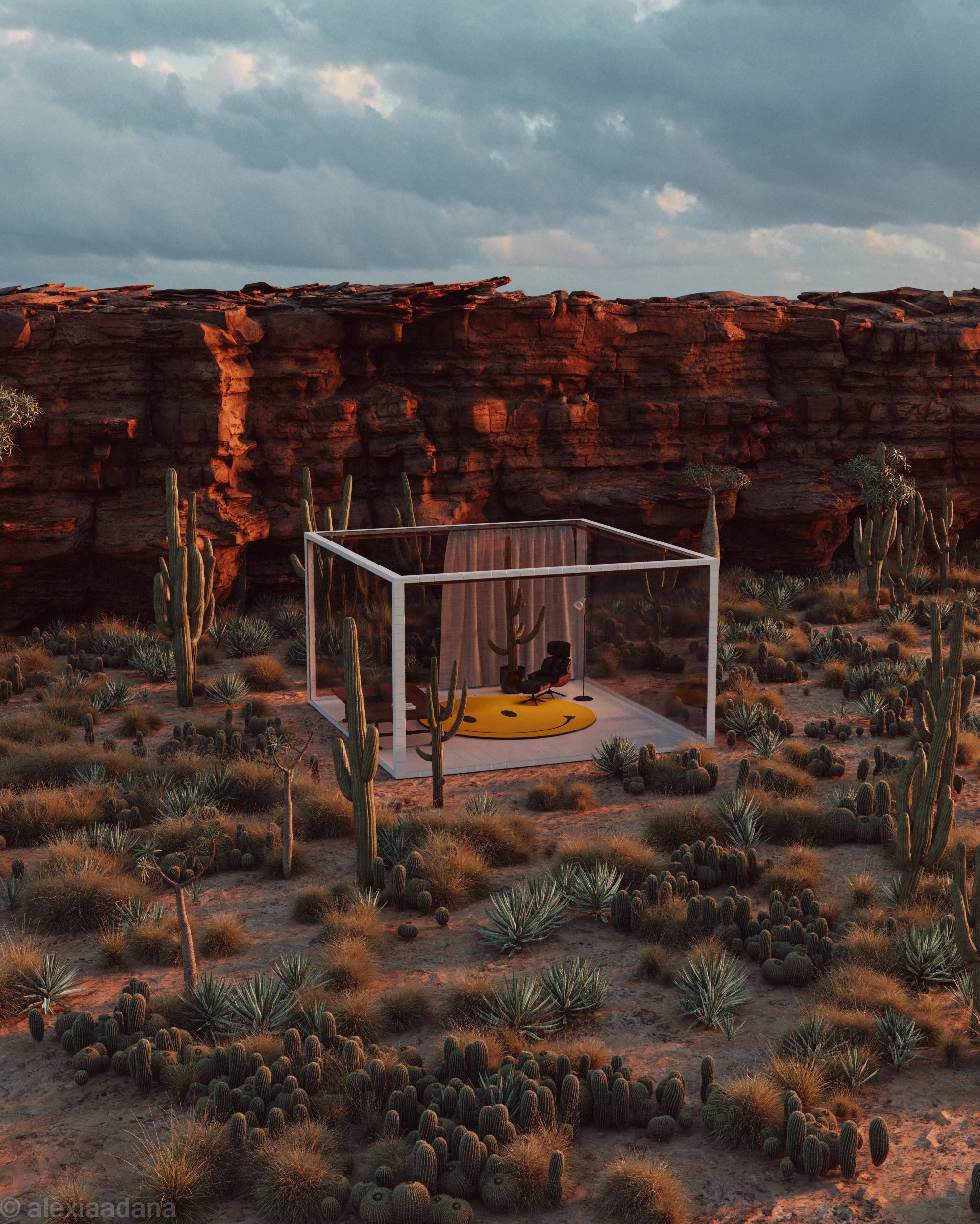 05WFHDESERT-1-2.jpg