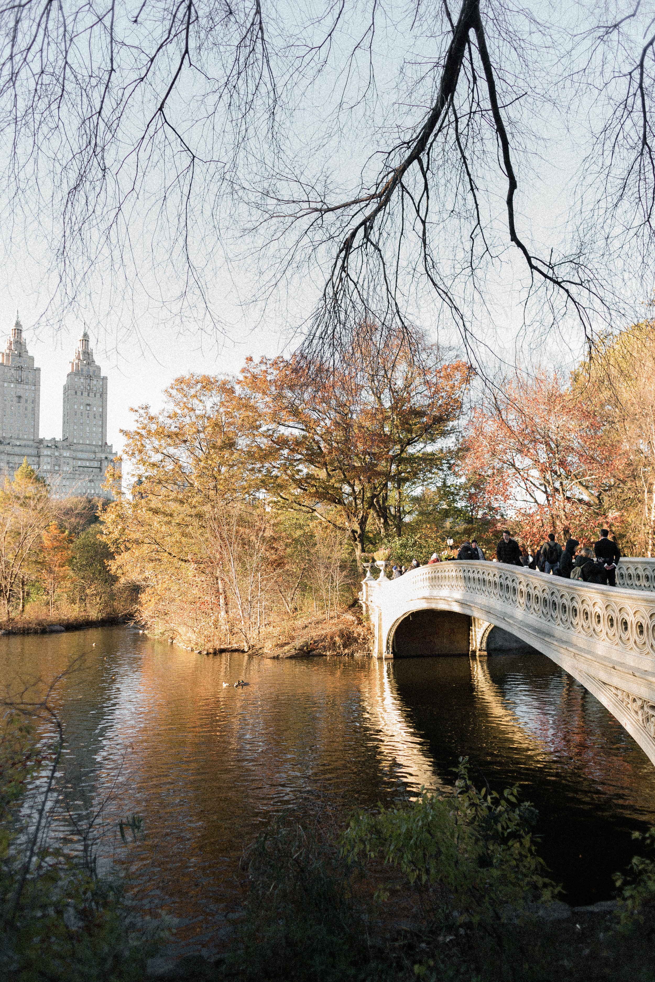 new-york-destination-wedding