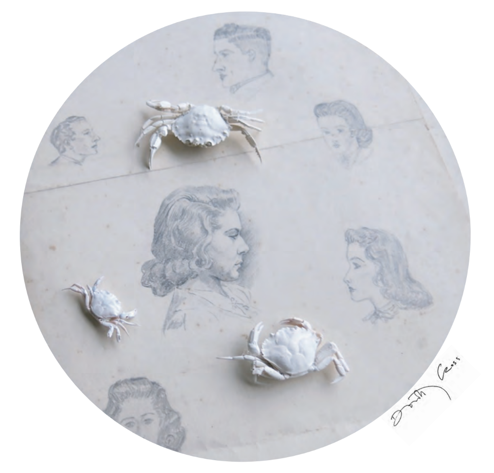 Dorothy Cross "The drawings on my plate are from my mothers school drawing portfolio, probably drawn around 1935. The portrait in the centre is of her – drawn by another hand. My mother had an incredible eye for beauty. I placed three small crabs on 