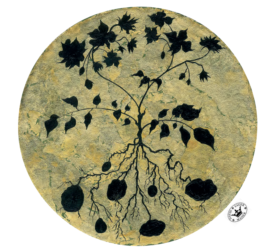 David Eager Maher "The design for my plate is constructed using gold leaf and applied in a way that is rough and shows cracks. Above this is a silhouette image of a potato plant, painted in a solid black form, that has echoes of botanical illustratio