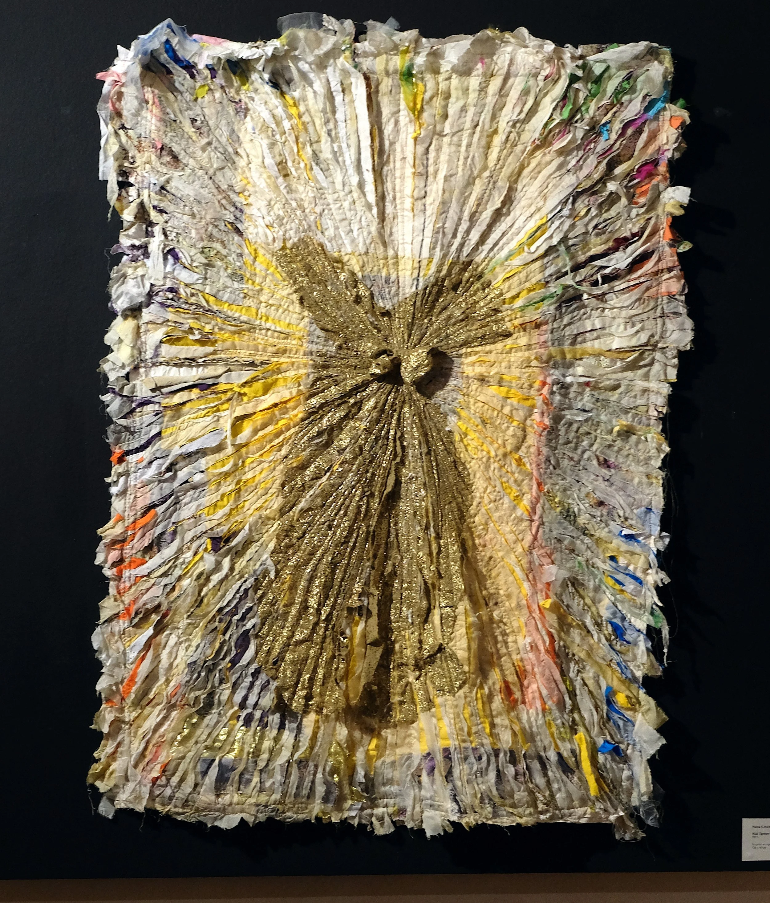Wild Tapestry 24 (2025)

Ecoprint on cupro,silk, cotton, polyester, preloved fabrics, gold lamé dress, 120 x 90 cm