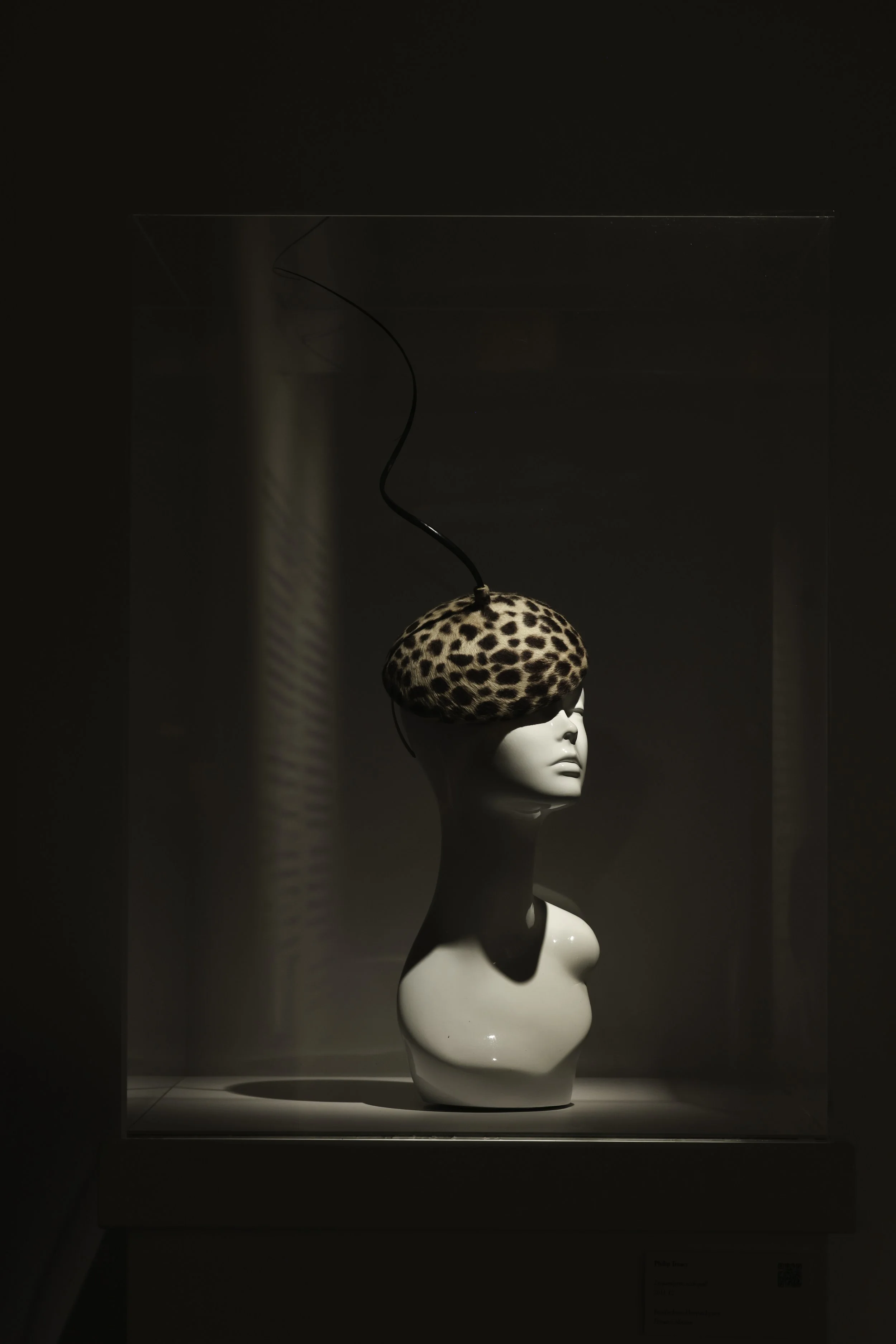 Hat, Philip Treacy