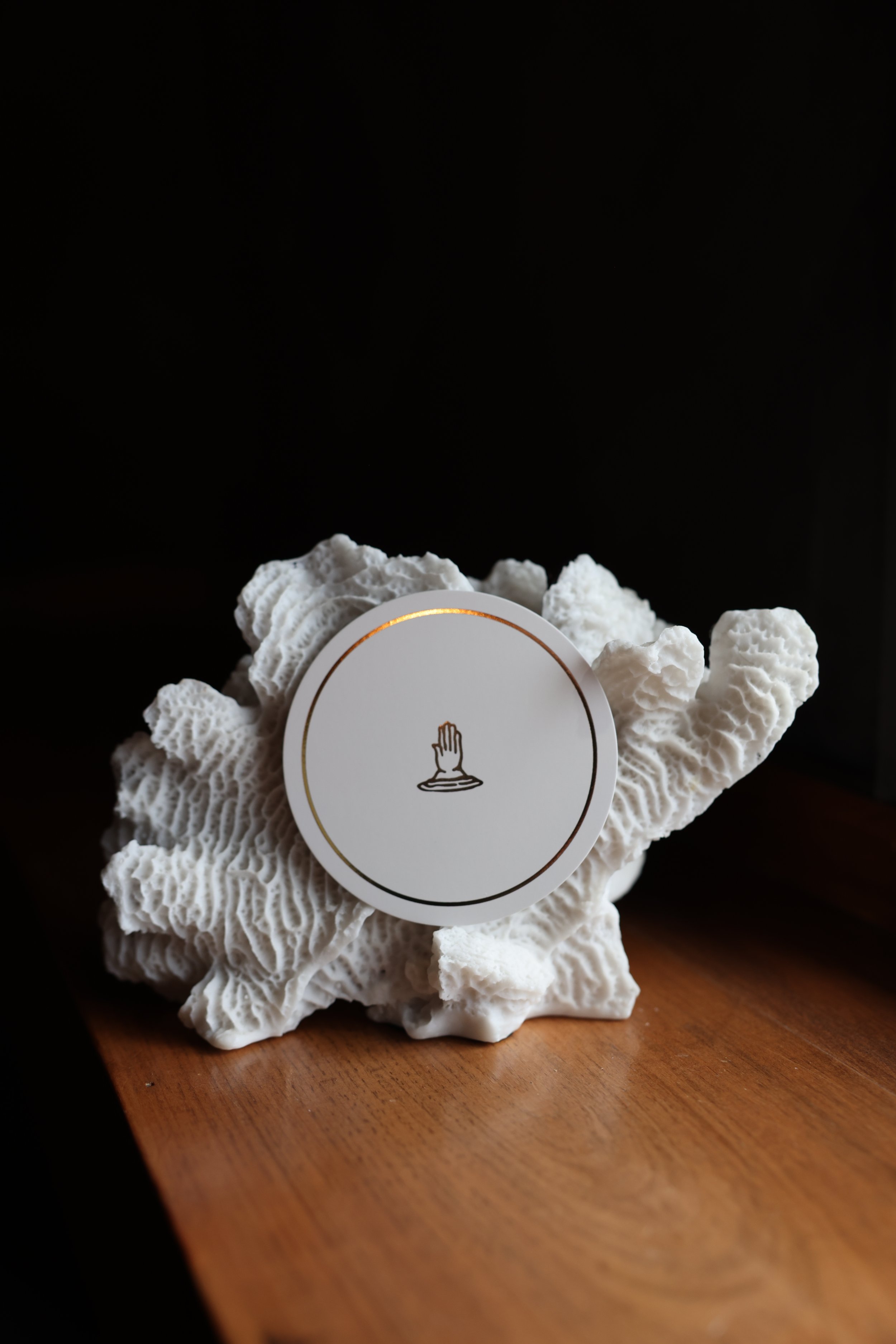 0S9A7855.JPG