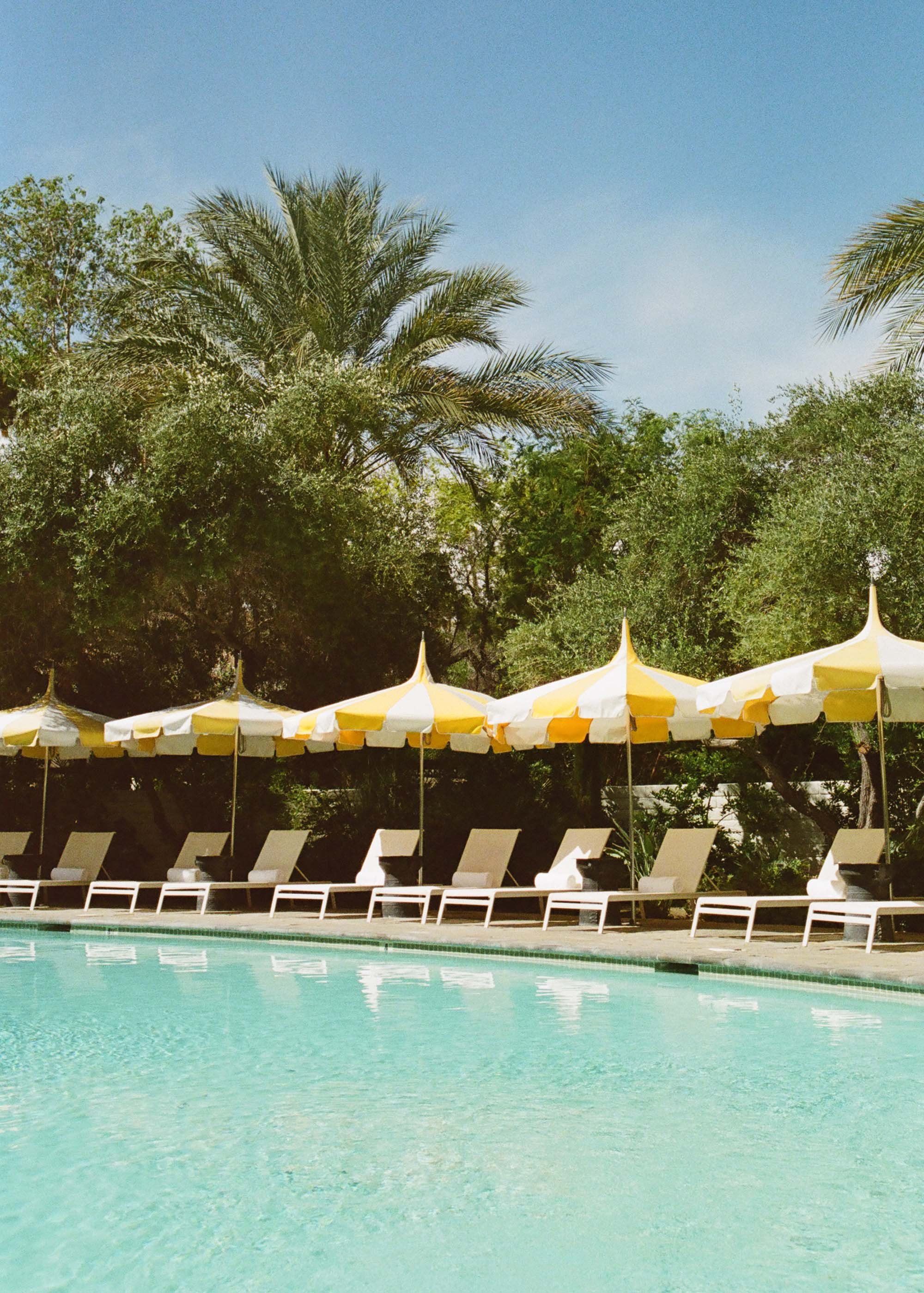 staceyjones.com | Stacey Jones Wedding and Event Design | Villa Royale Palm Springs Weddings  8 (1).jpg