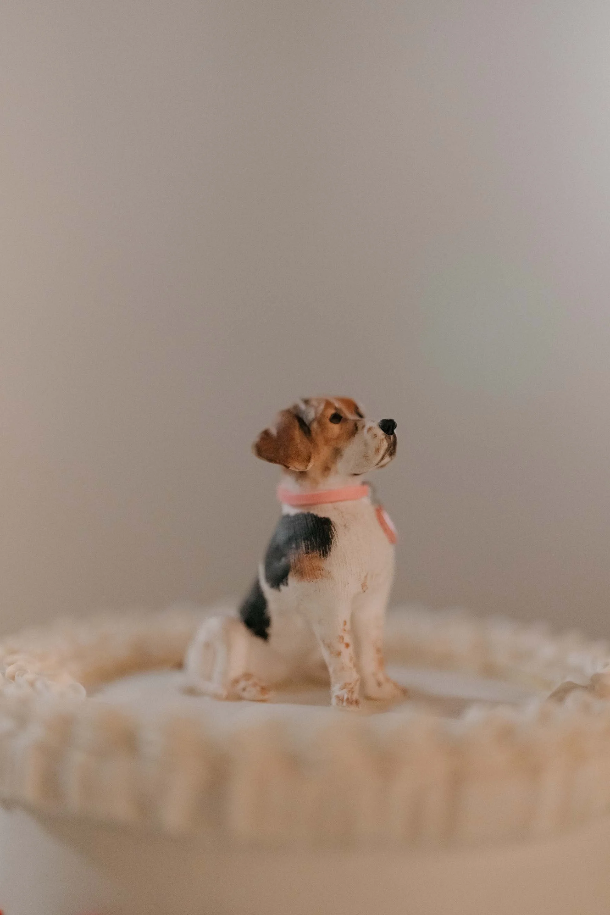 Palm Springs Wedding Planned by Stacey Jones Events and Design 2.jpg