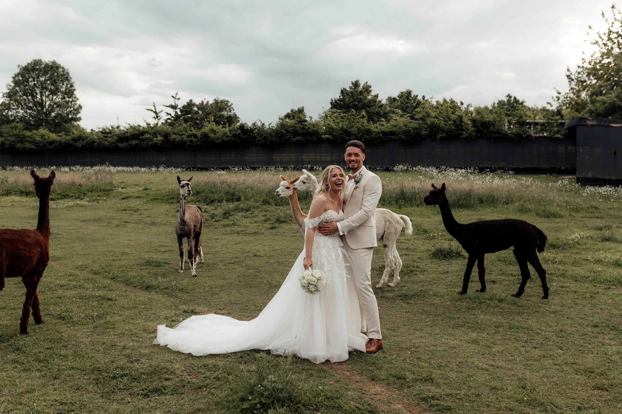 L&T Scheunentraum 10. Alpaka Shooting-6.jpg