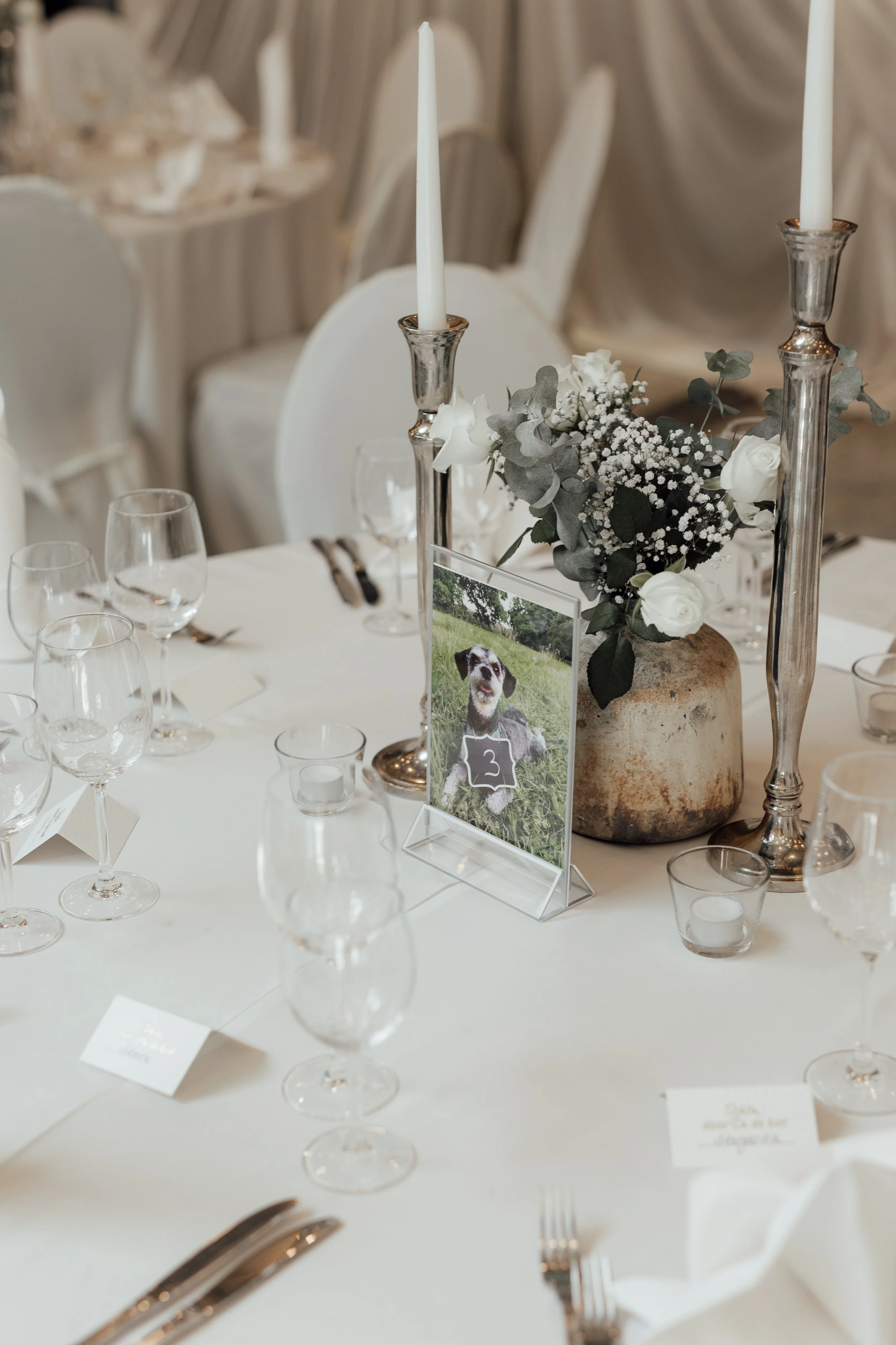 S&M 8. Location-5.jpg