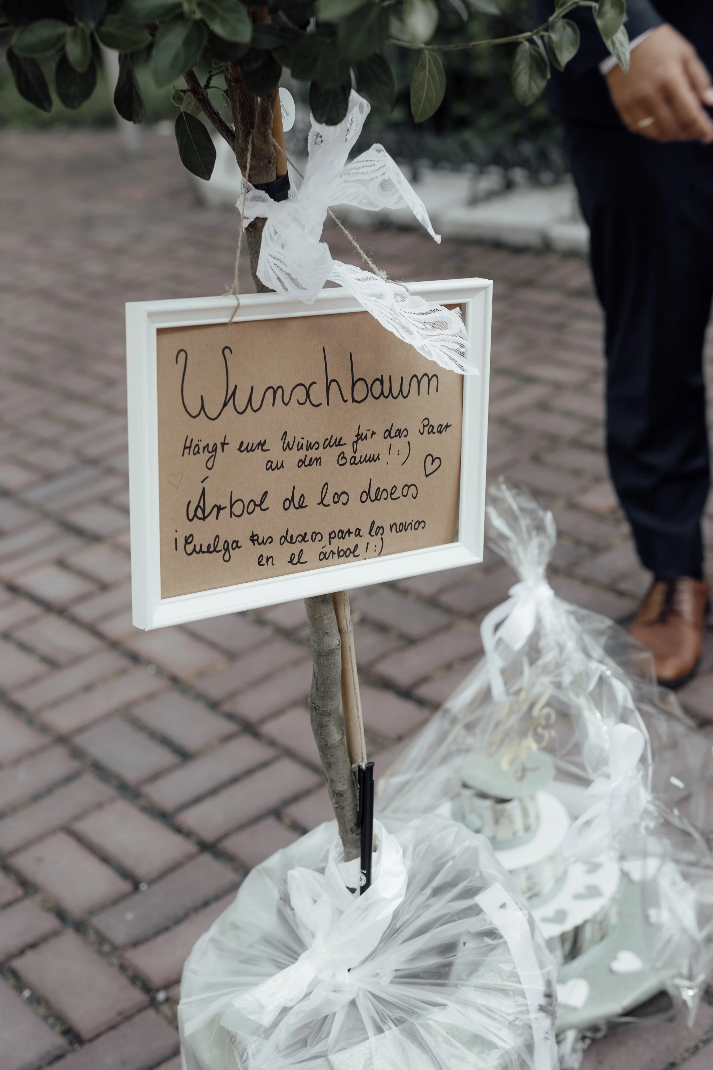 S&M 11. Momentaufnahmen-54.jpg