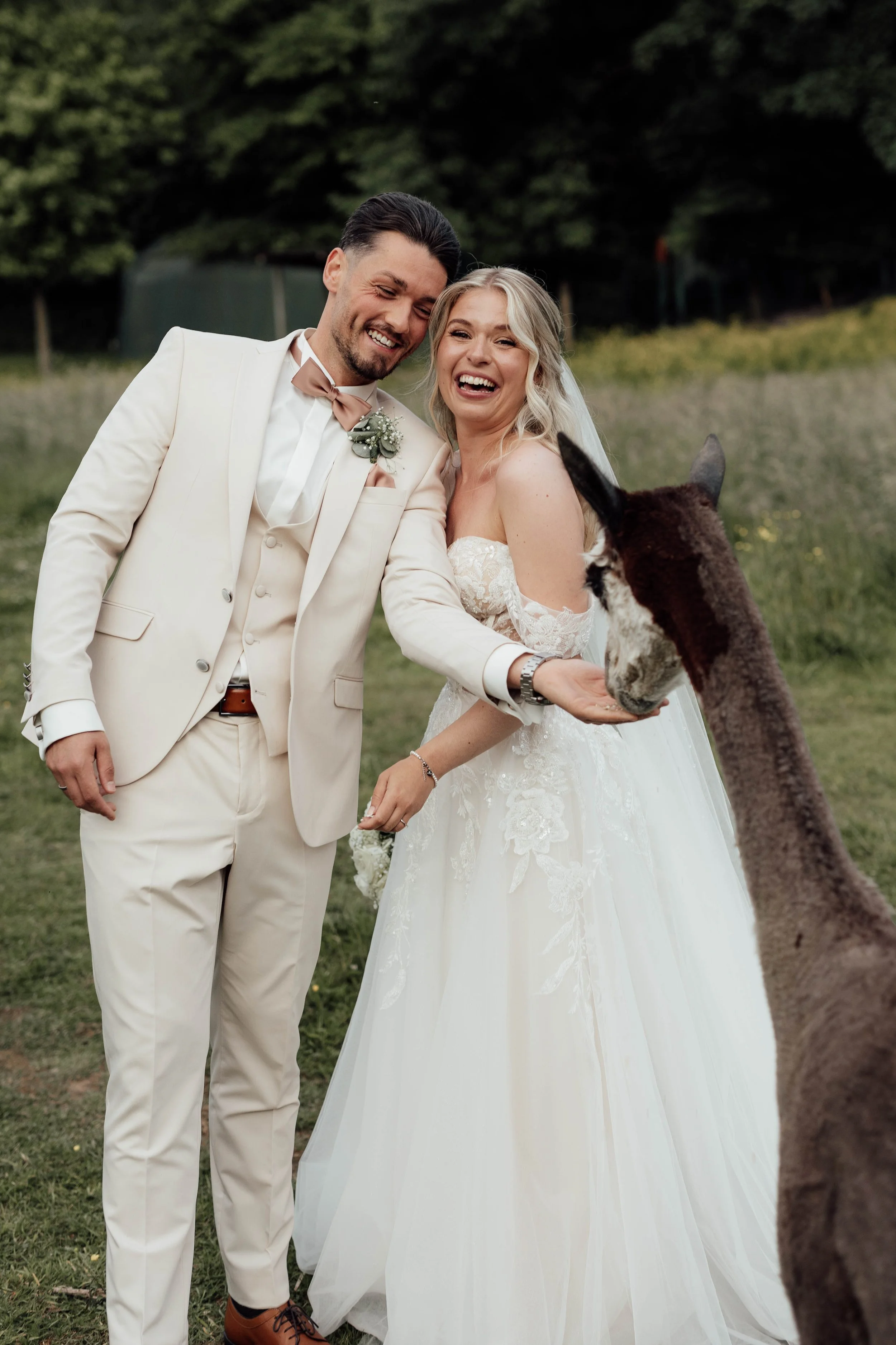 L&T Scheunentraum 10. Alpaka Shooting-20.jpg