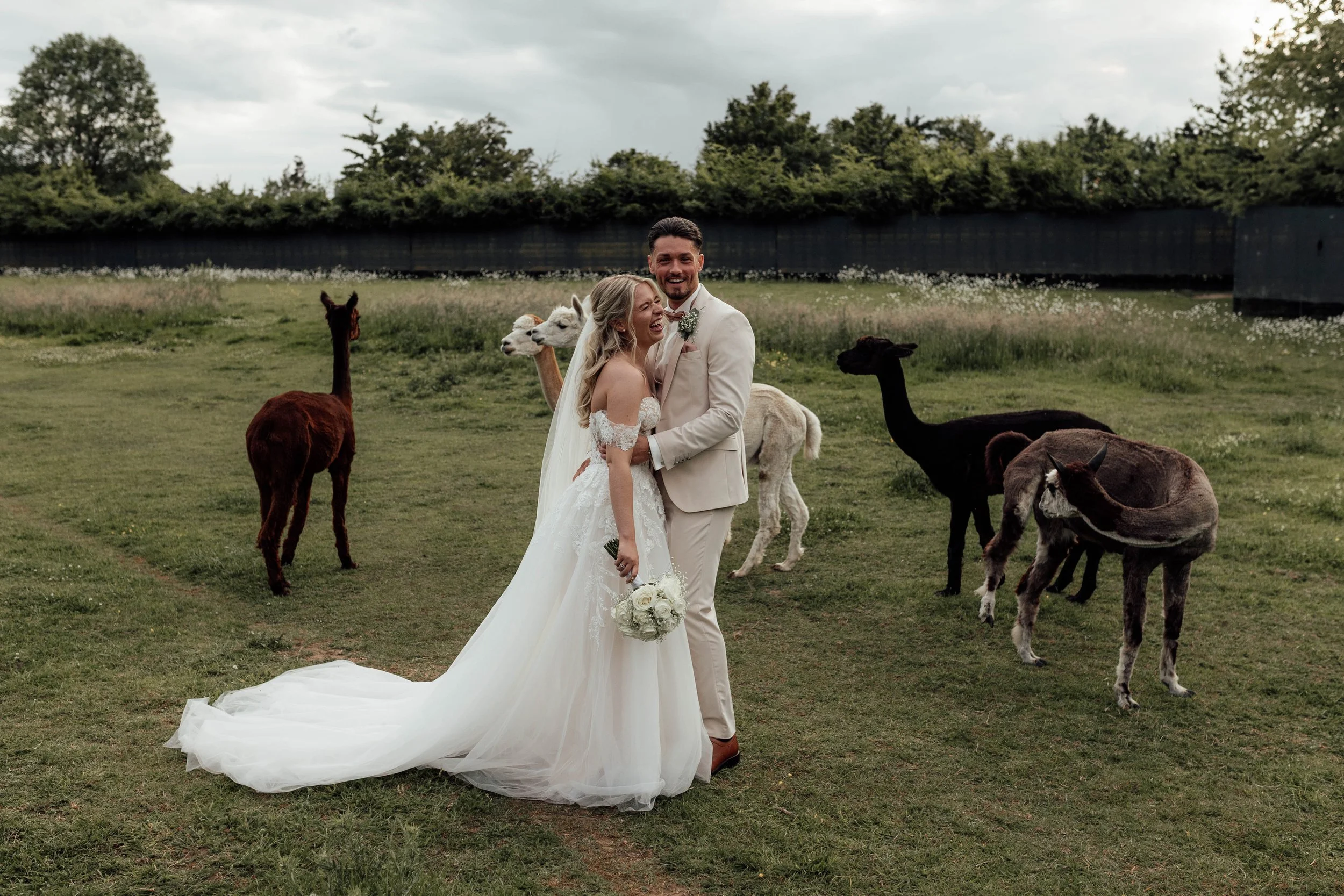 L&T Scheunentraum 10. Alpaka Shooting-12.jpg