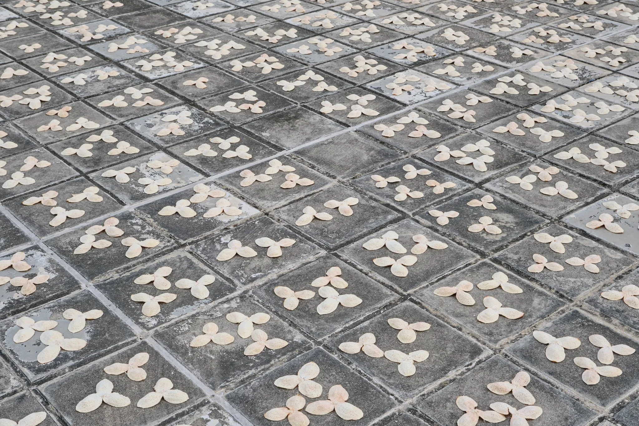 Holding Pattern, 2023