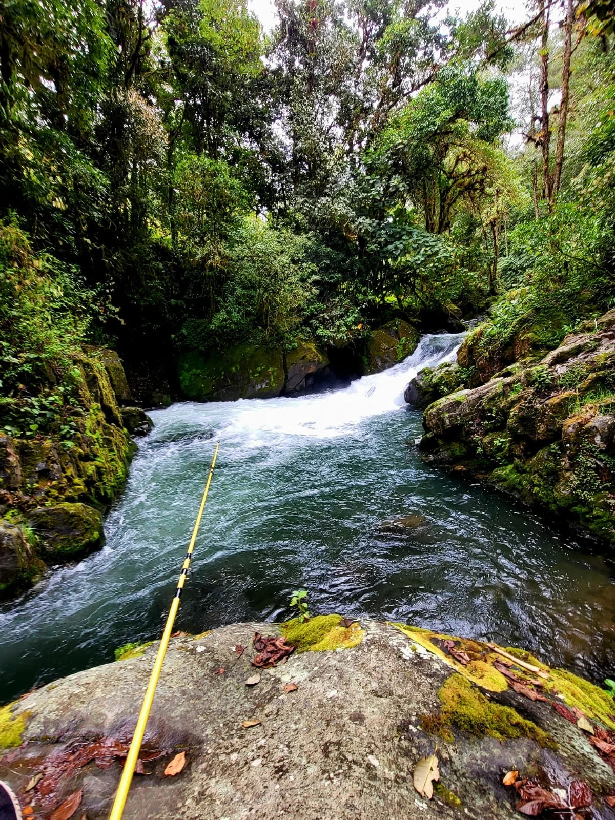 WhatsApp Image 2023-09-20 at 15.36.53.jpg