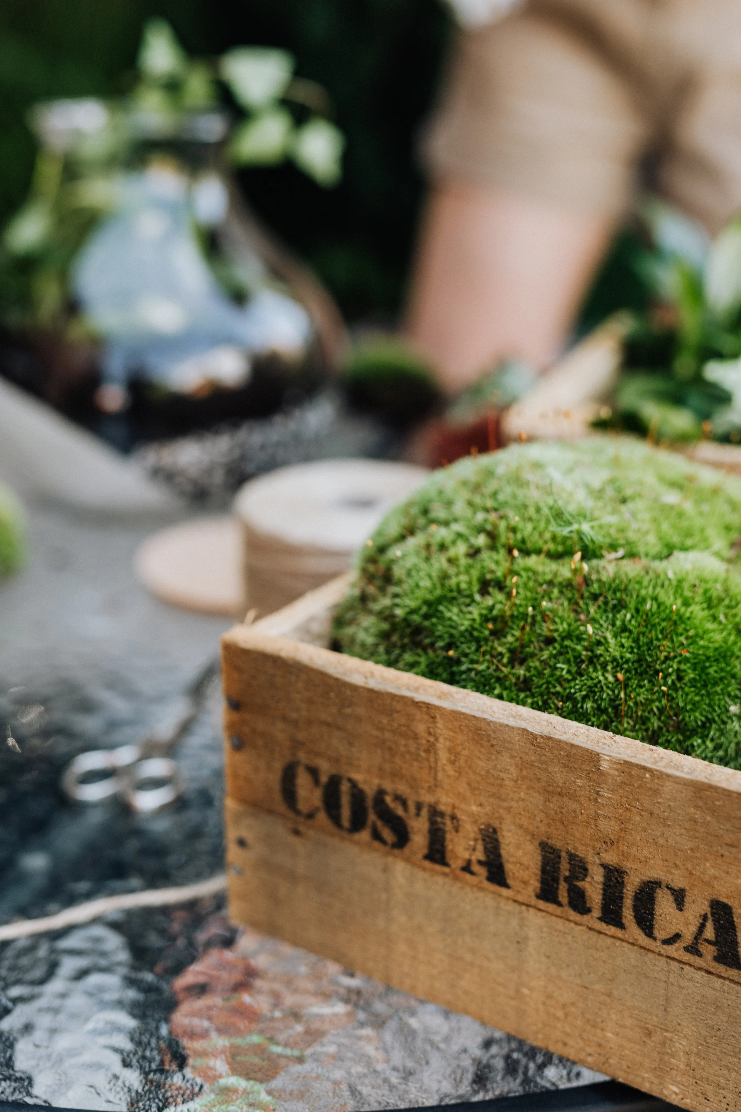 COSTA RICA GENERIC PIC.jpg