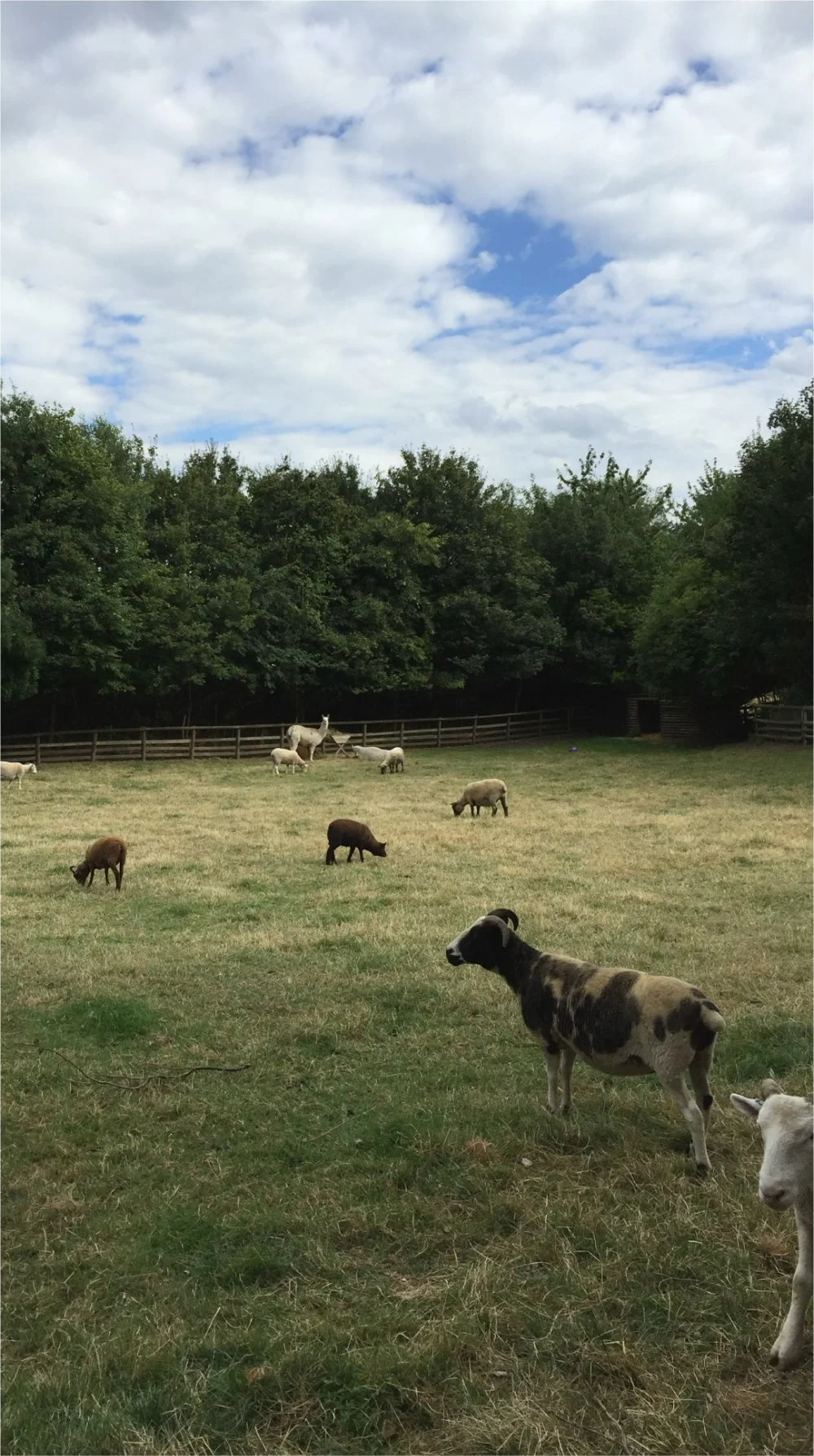 Blog No 4. Is Looking Back, A Rout To Newness!