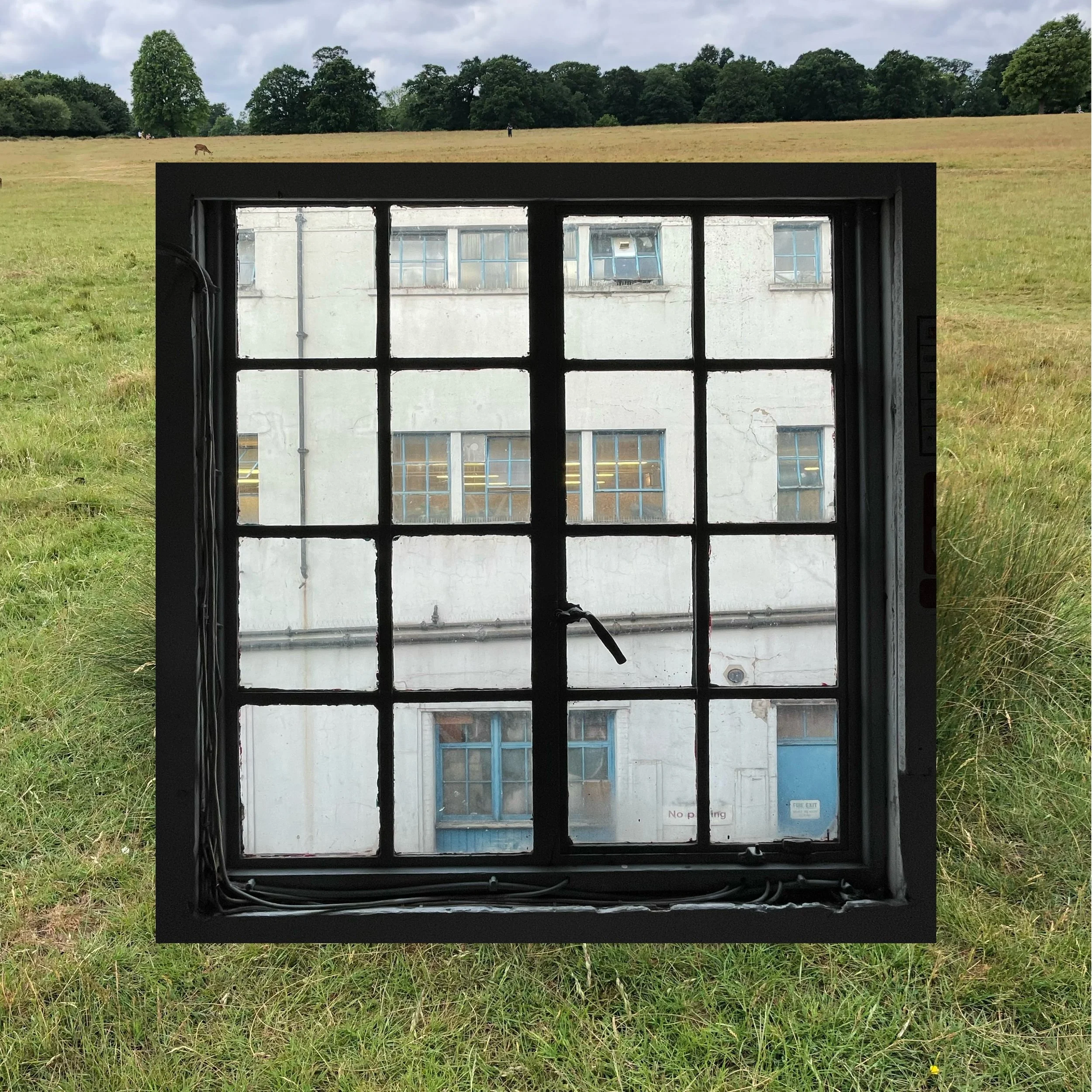 window.jpg