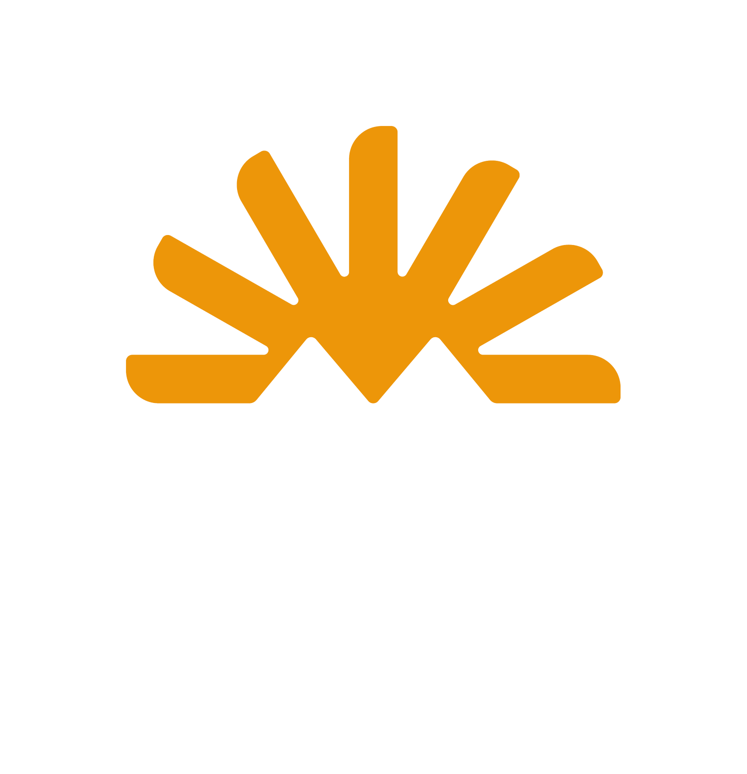 Beach Mountain Insurance Group