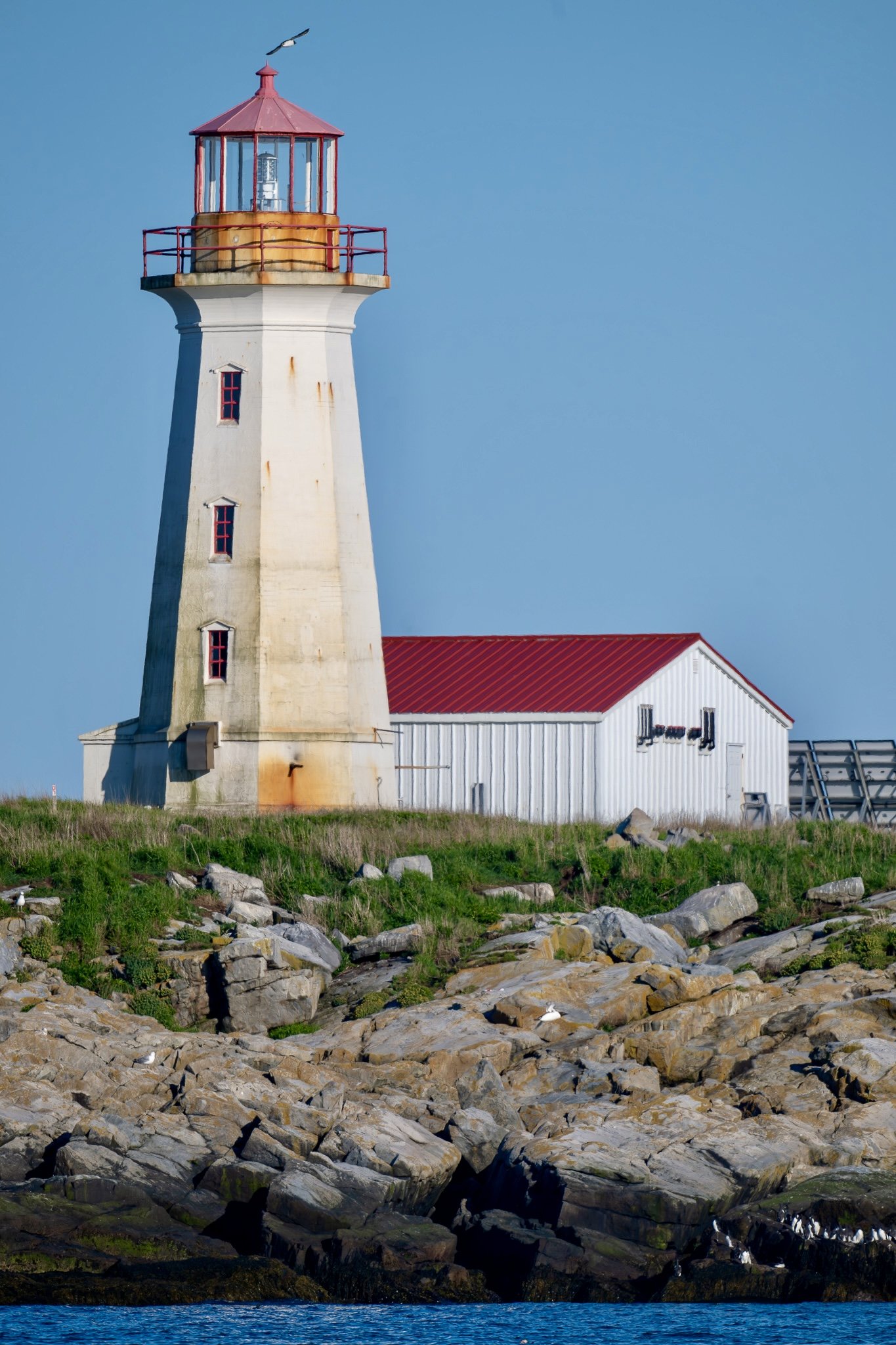 Light house machias seal island .jpg