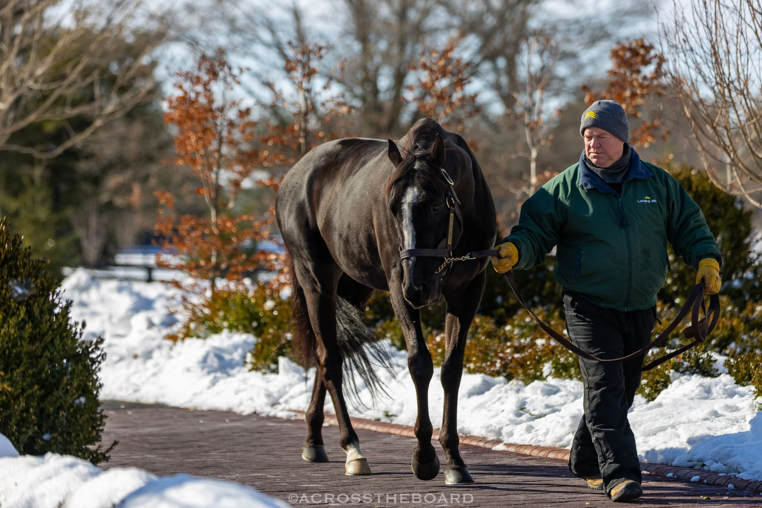 More Than Looks-2.jpg