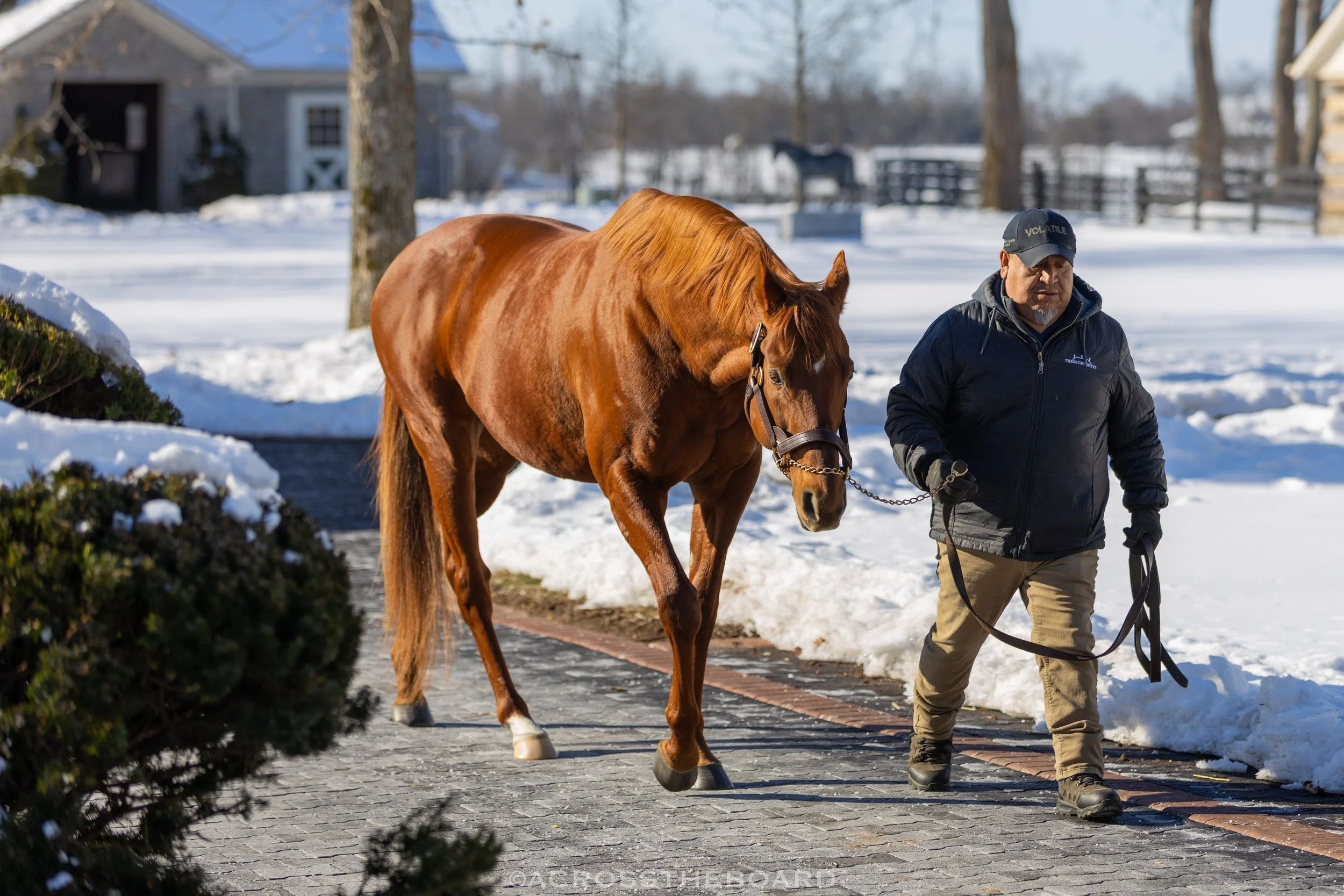 Gun Runner-2.jpg