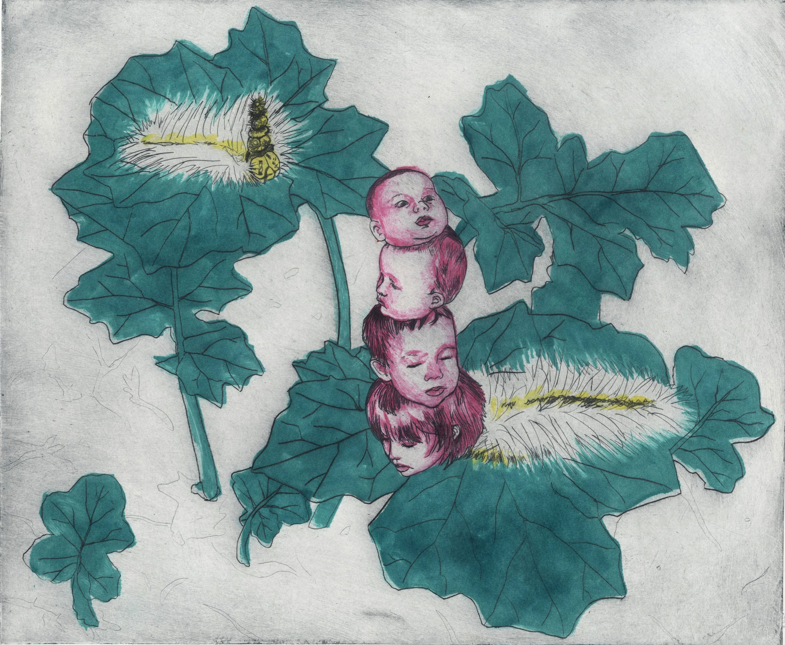 Uraba Lugens, Drypoint Etching and Monoprint, 12x14", 2026