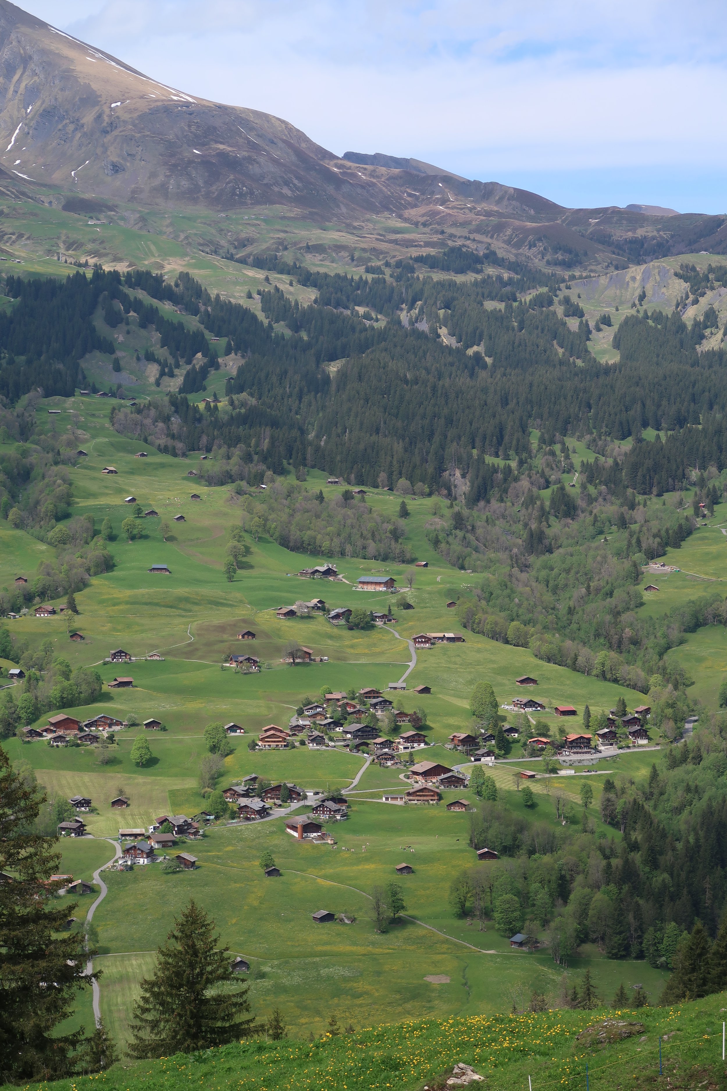 IMG_4575 2.JPG