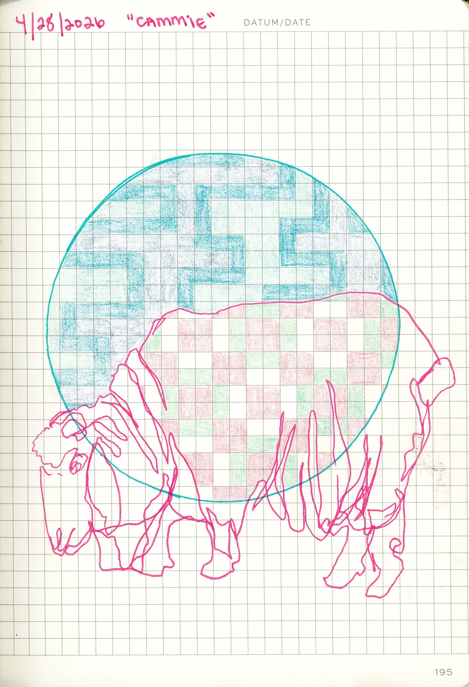 Drawing #66: "Cammie", April 28