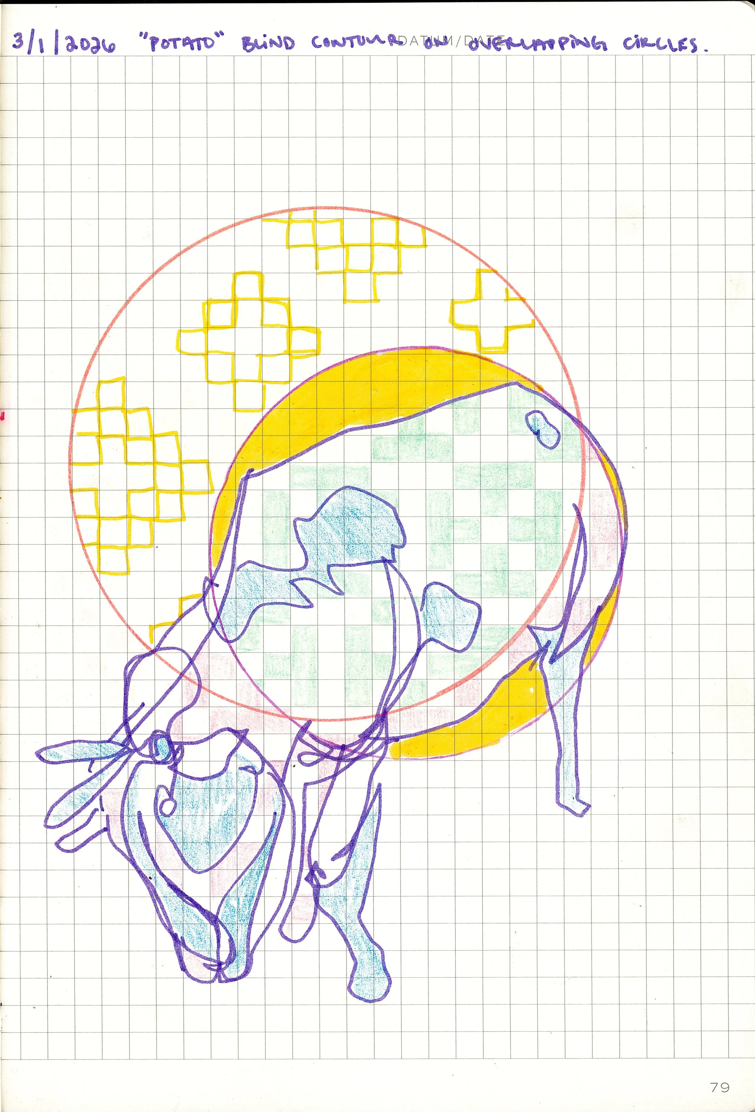 Drawing #08: Potato, March 1