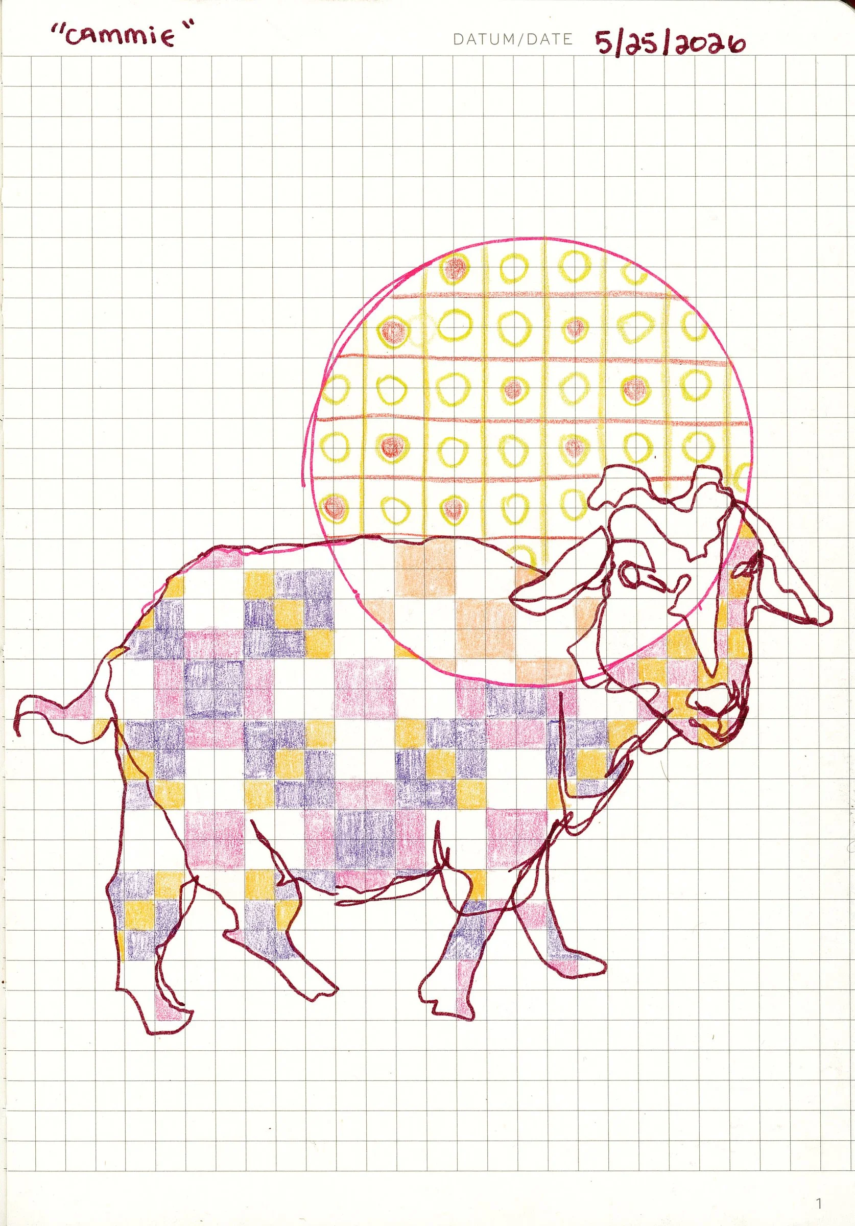 Drawing #93: "Cammie", May 25
