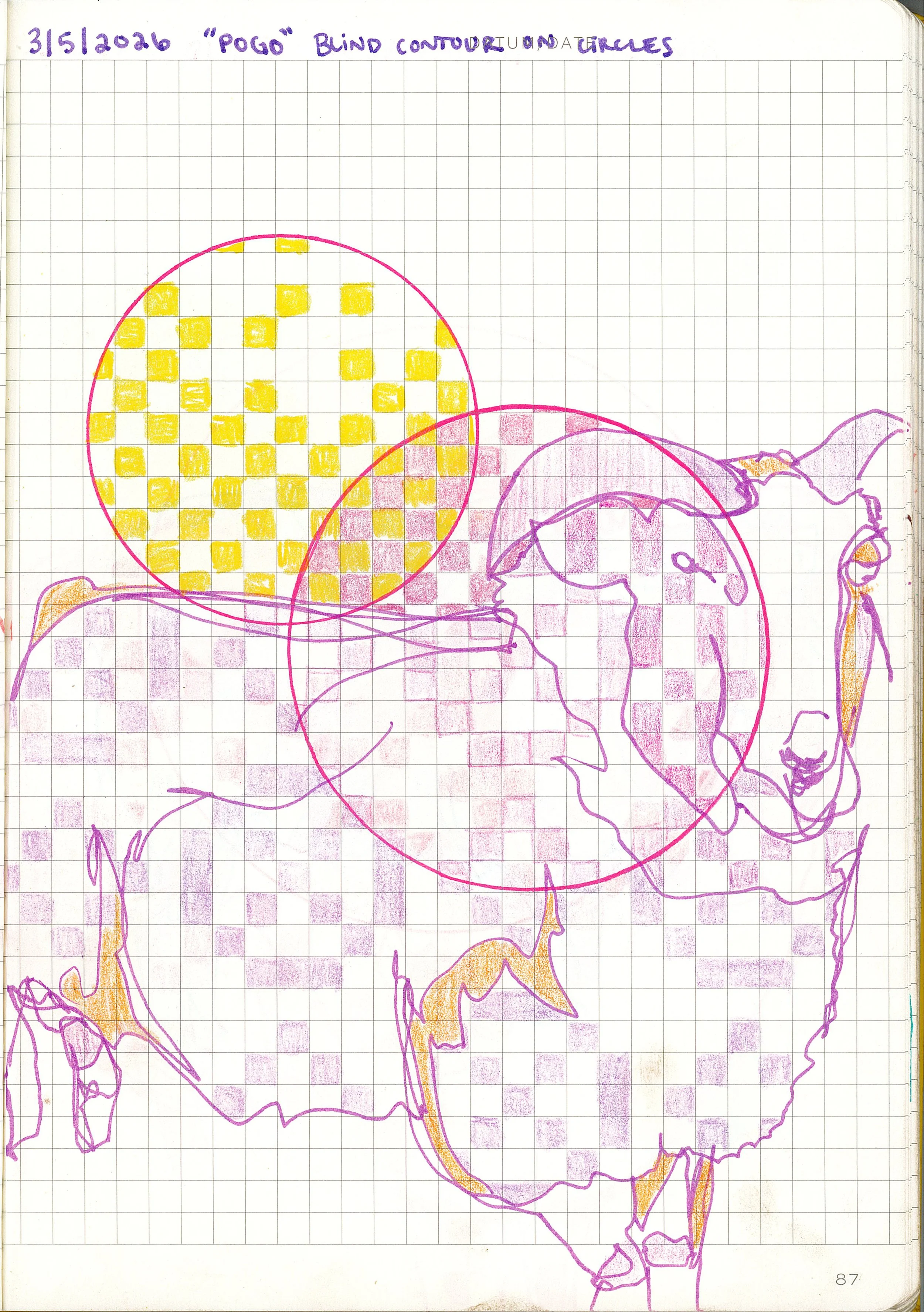 Drawing #12: "Pogo", March 5