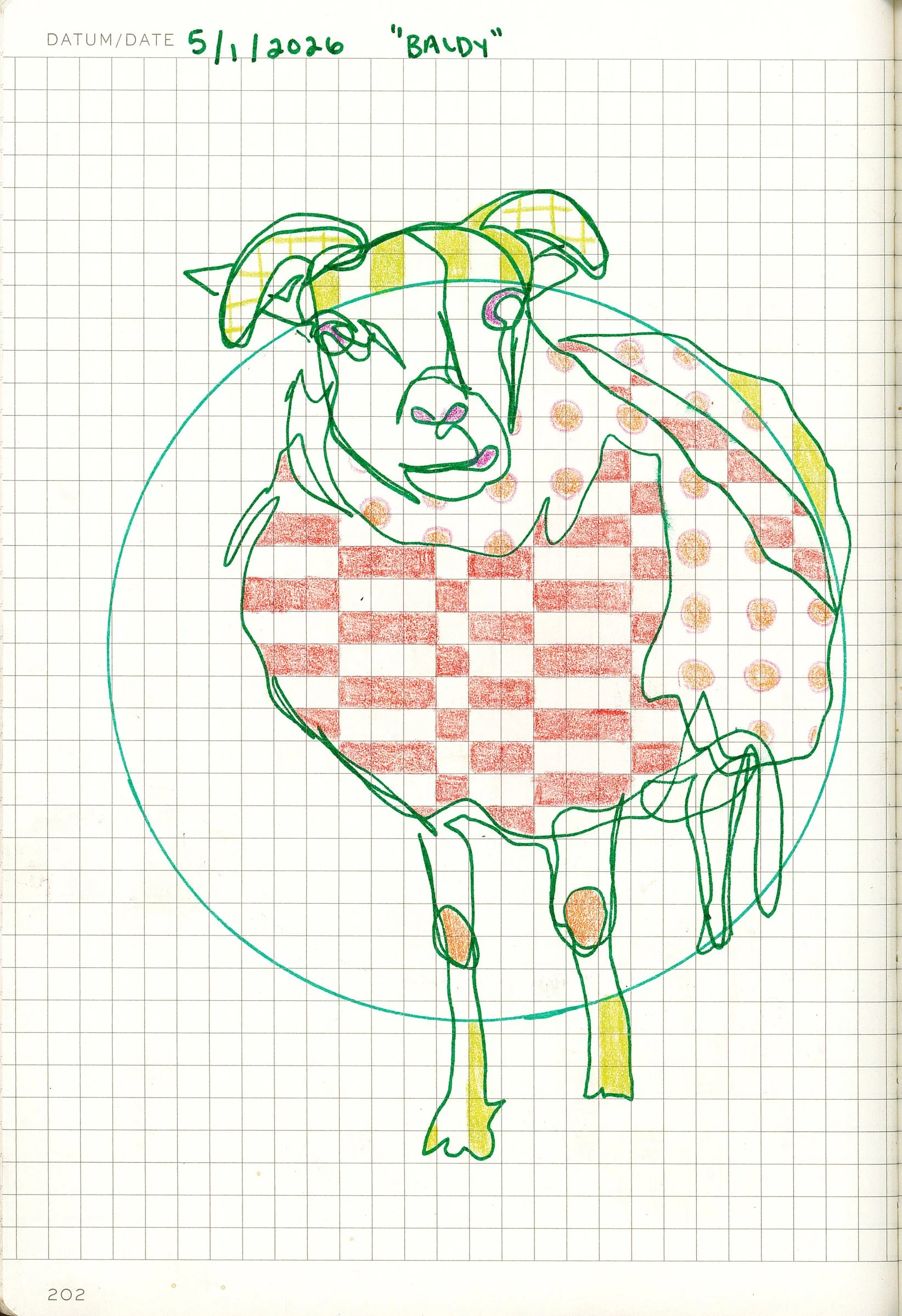 Drawing #69: "Baldy", May 1