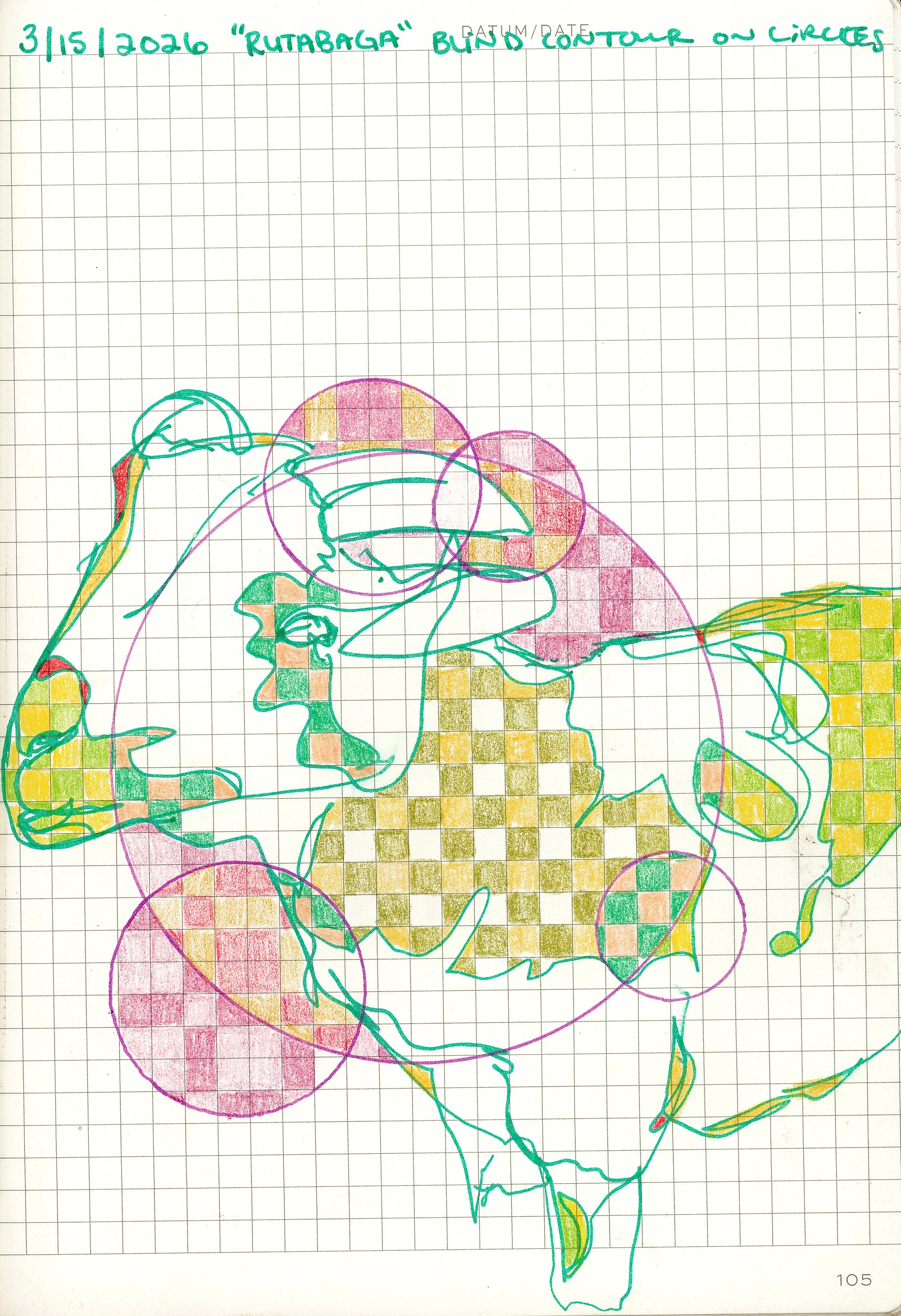 Drawing #22: "Rutabaga", March 15