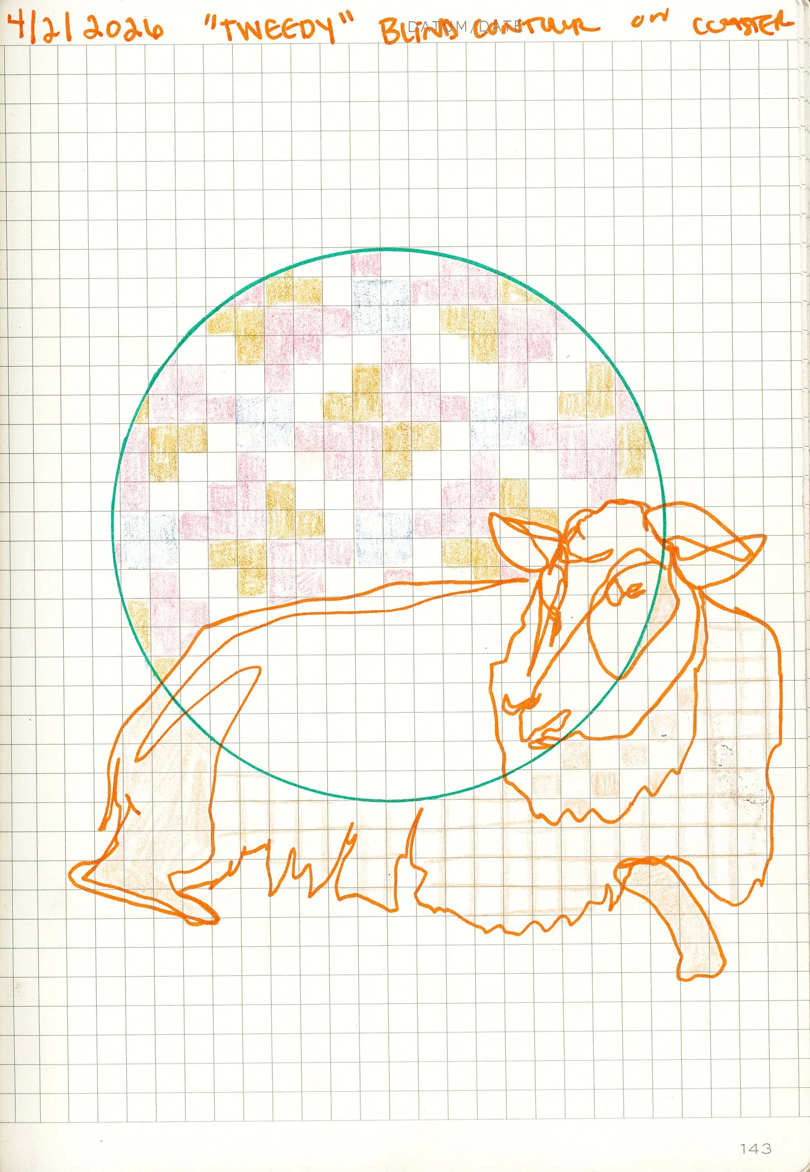 Drawing #40: "Tweedy", April 2