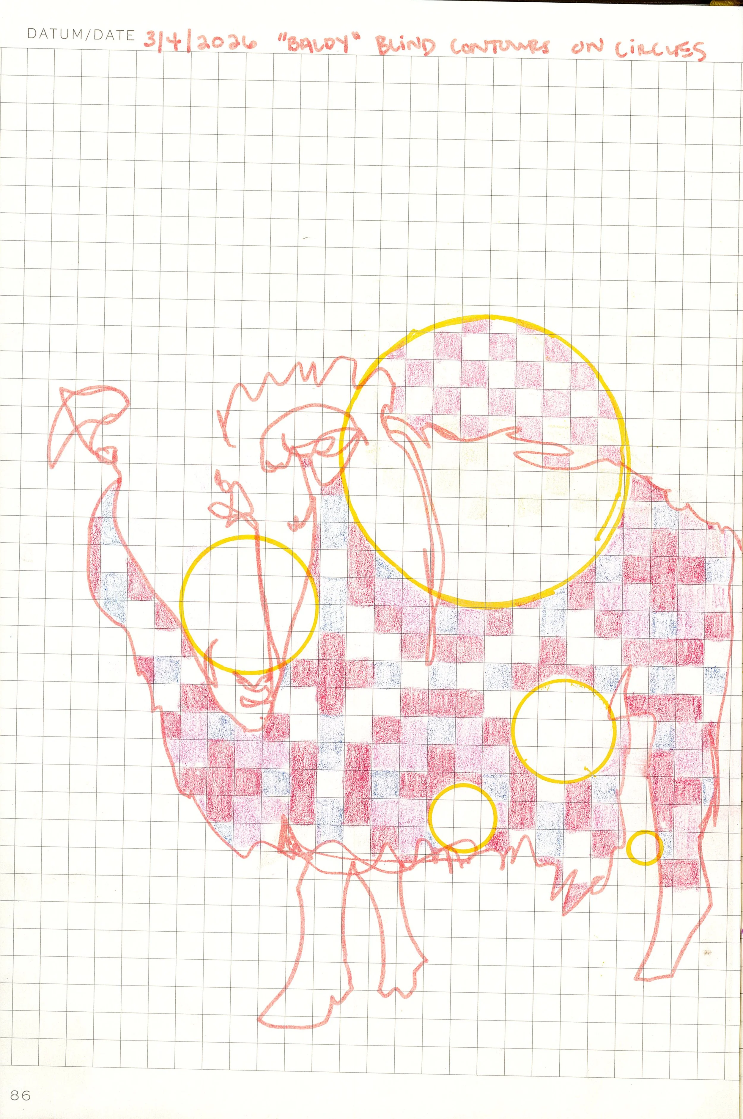 Drawing #11: "Baldy", March 4