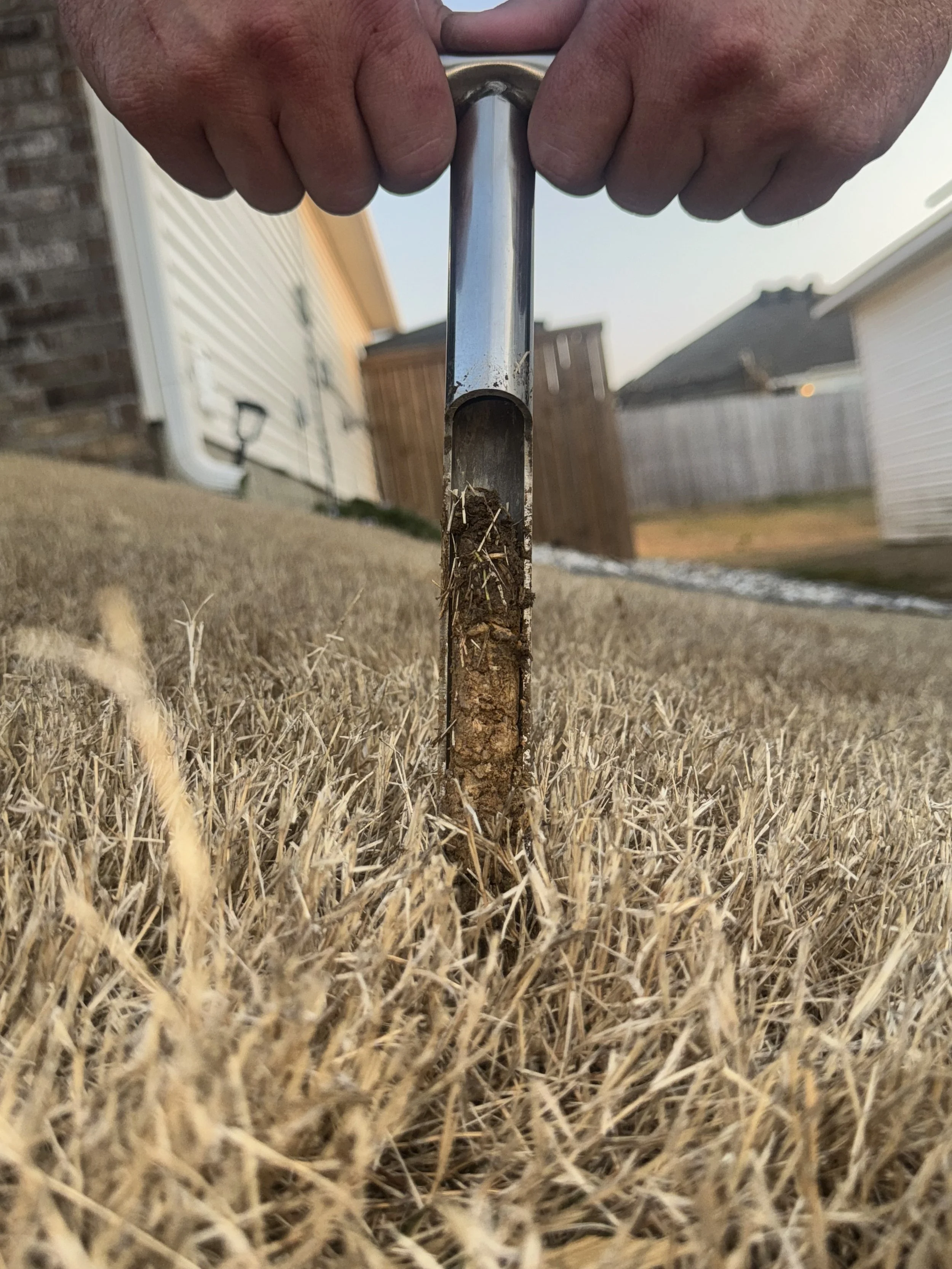 Soil pH: Why It Matters and How to Correct Imbalances