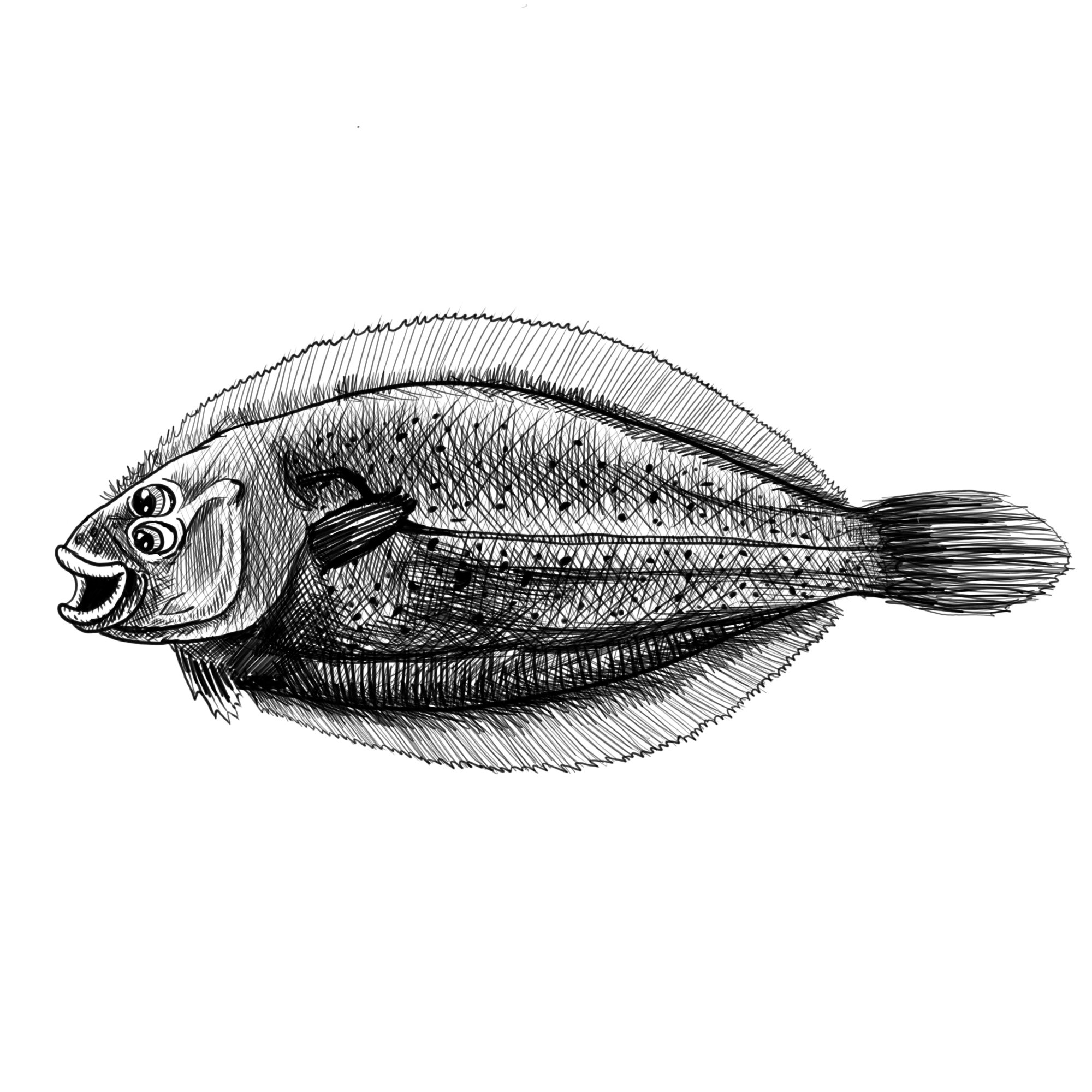 Felix Plattfisk 0005.jpg