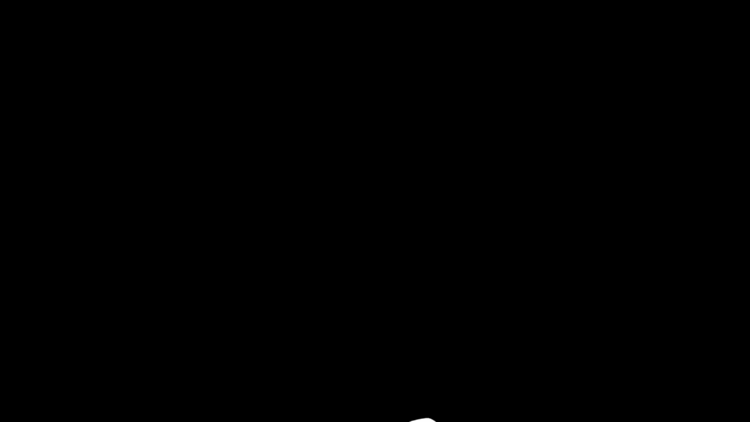 Halloween animation by Felix Swahn version2.gif