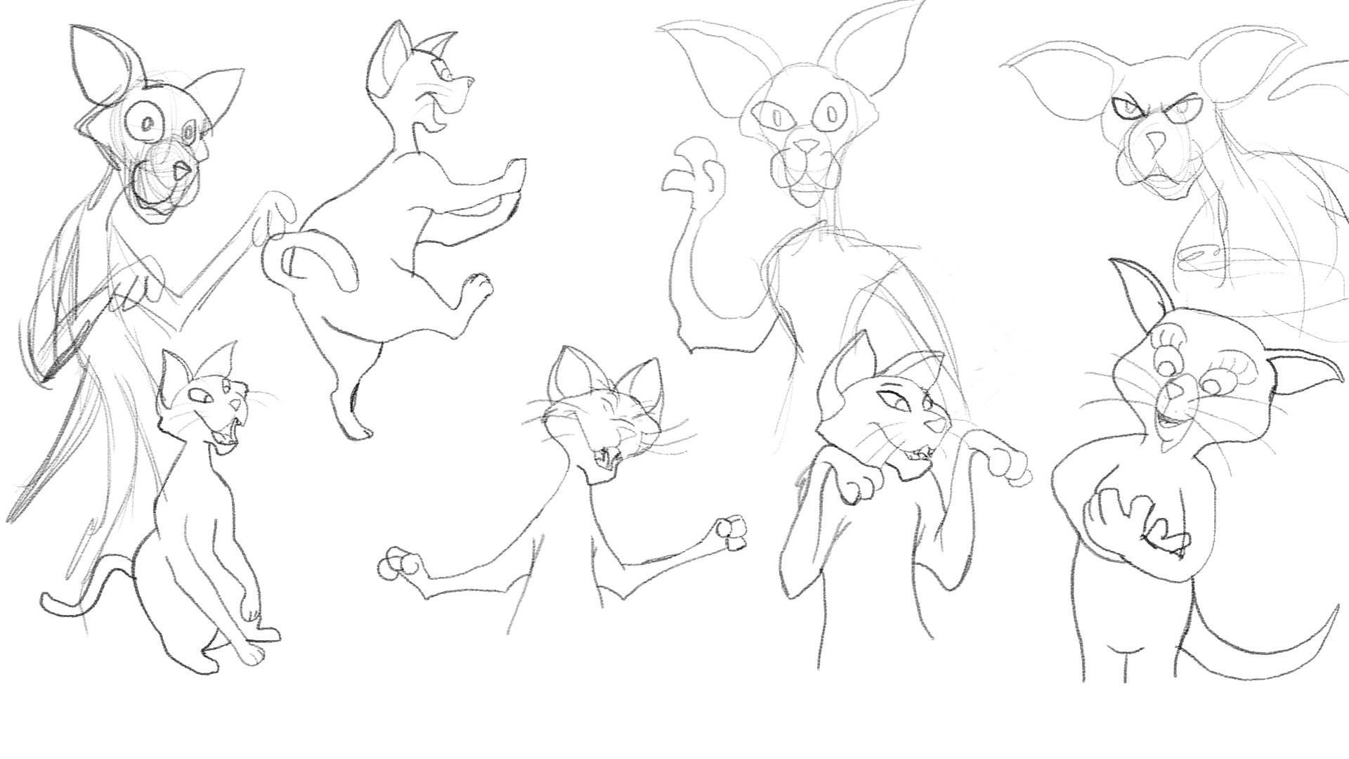 Brucina Character Sheet part 1.jpg