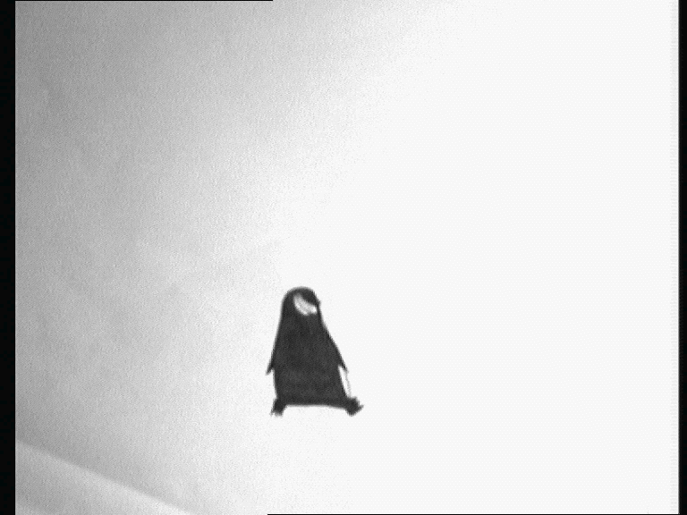 FlappFelix_1.gif