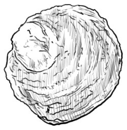 Felix ostron 0001.jpg