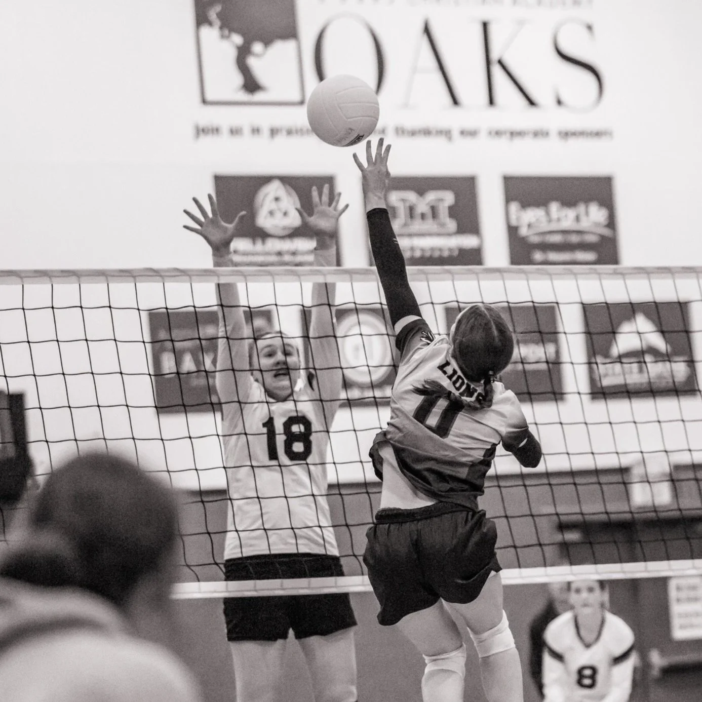 Volleyball