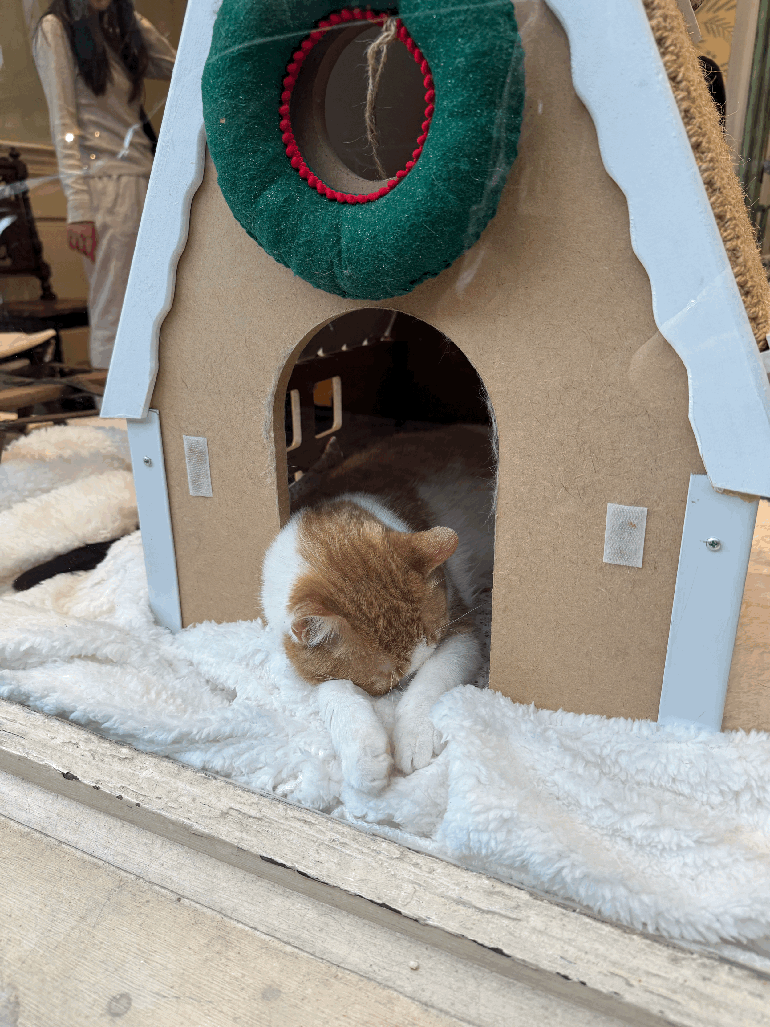 (Not) Doing the Thing (Yet)