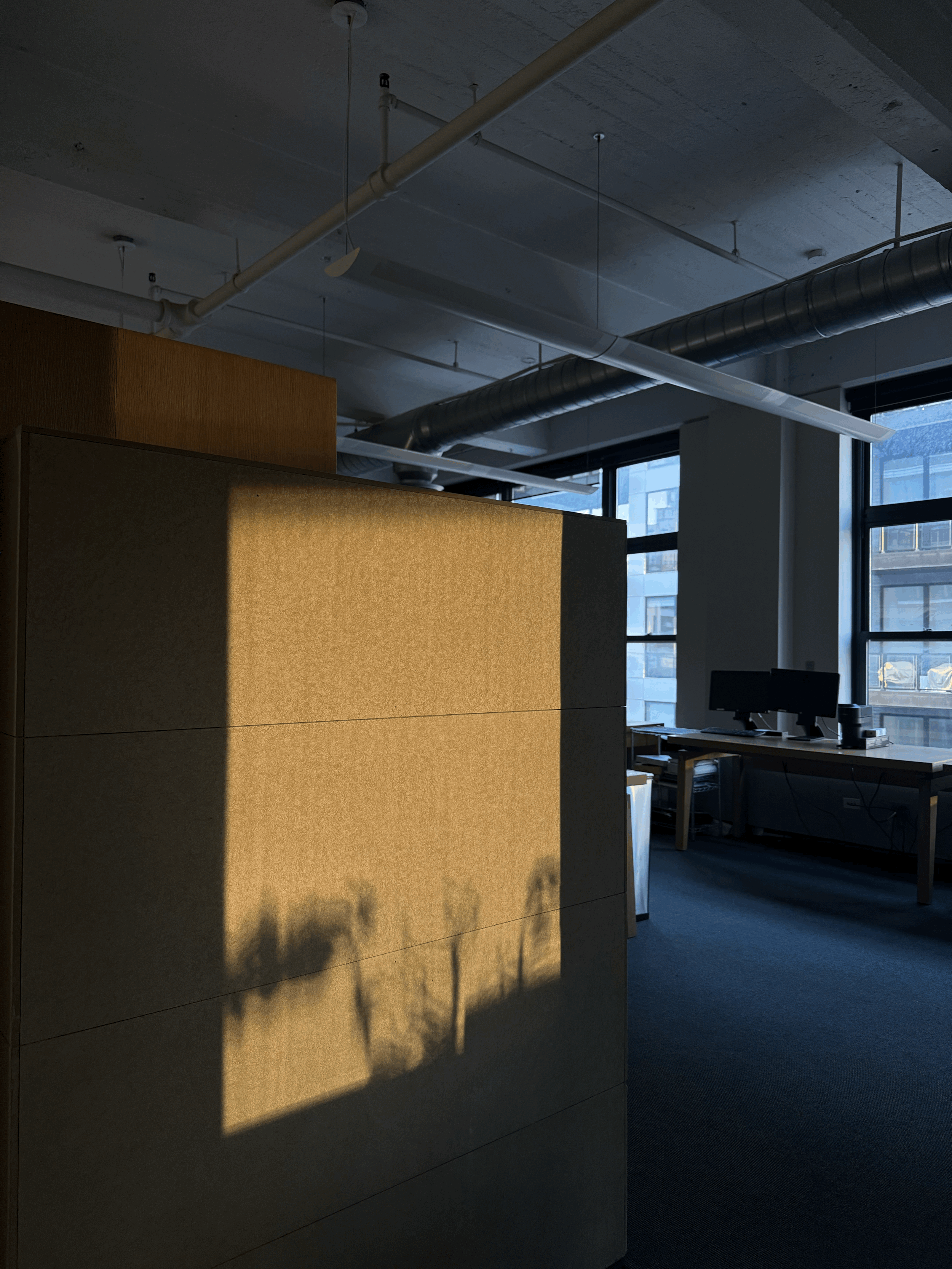 How I Got a Job in this Market