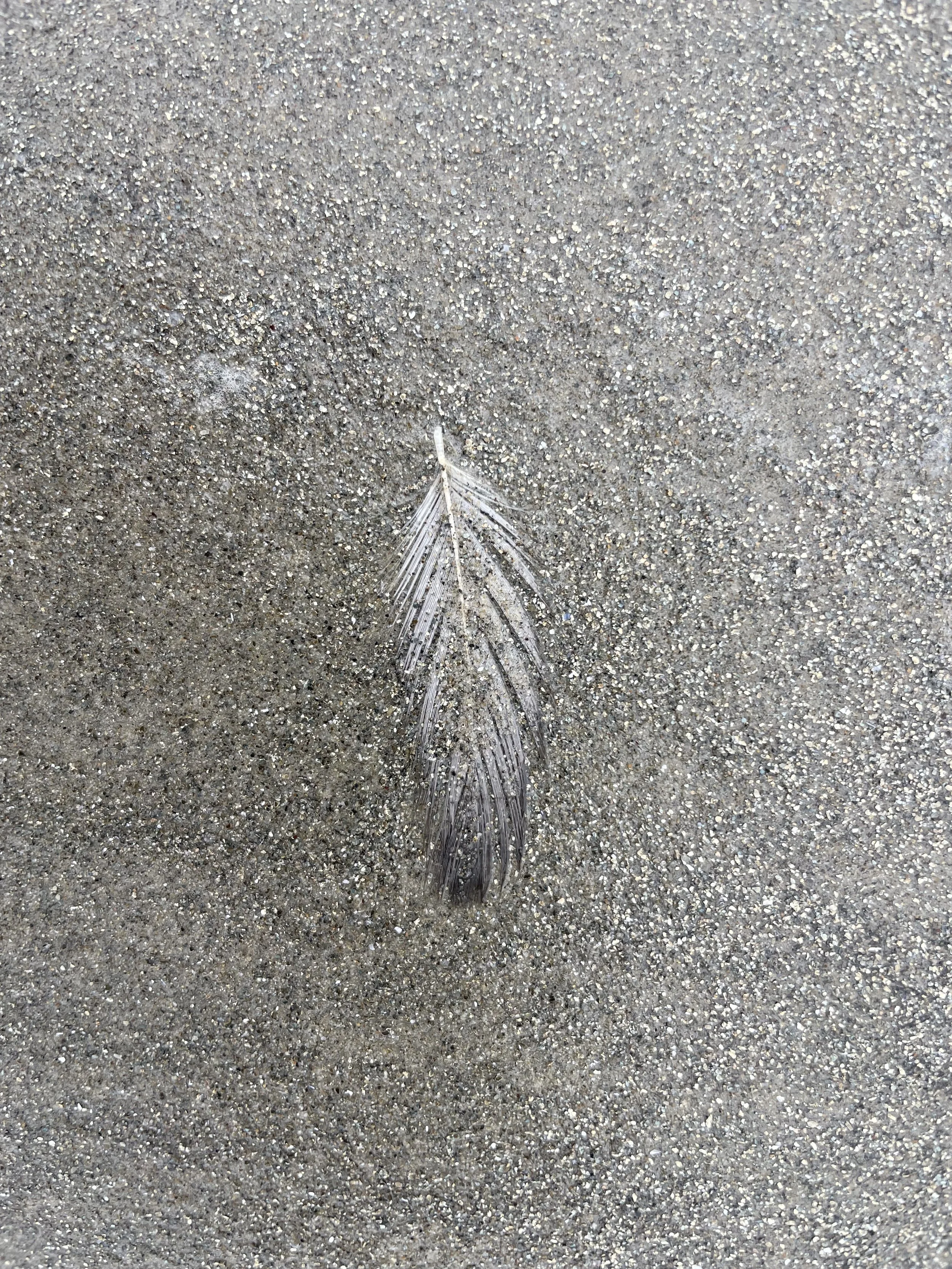 FOUND