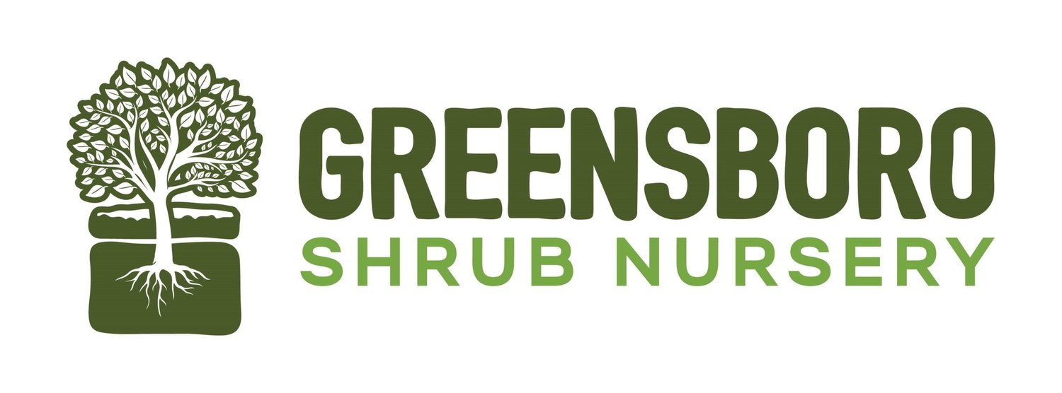 Greensboro Shrub Nursery